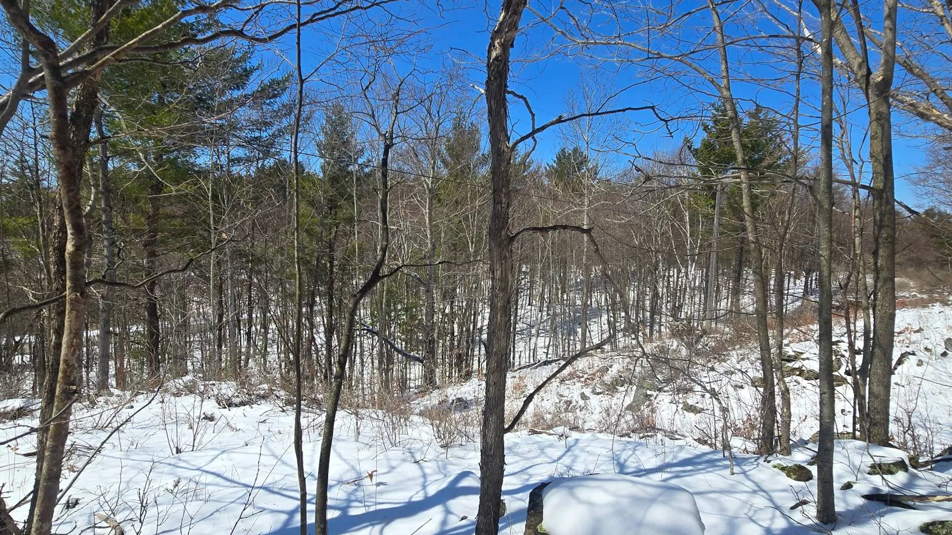 Property at 00 Williams Rd, Gouverneur, NY 13642 19