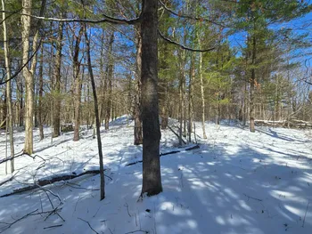 Property at 00 Williams Rd, Gouverneur, NY 13642