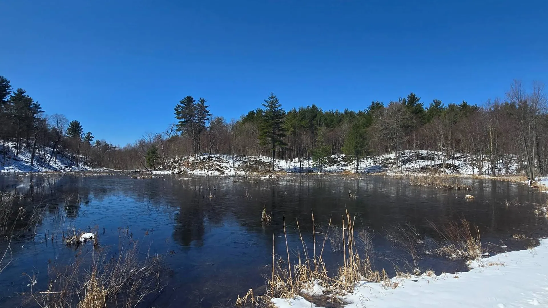 Property at 00 Williams Rd, Gouverneur, NY 13642 2