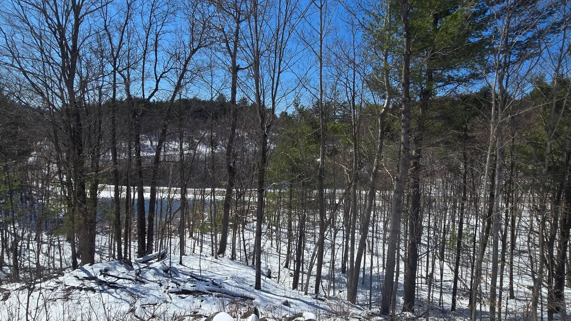 Property at 00 Williams Rd, Gouverneur, NY 13642 21