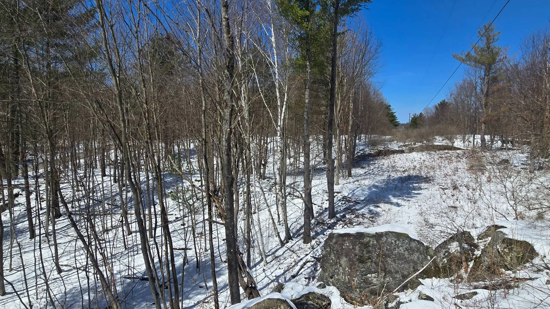 Property at 00 Williams Rd, Gouverneur, NY 13642 23