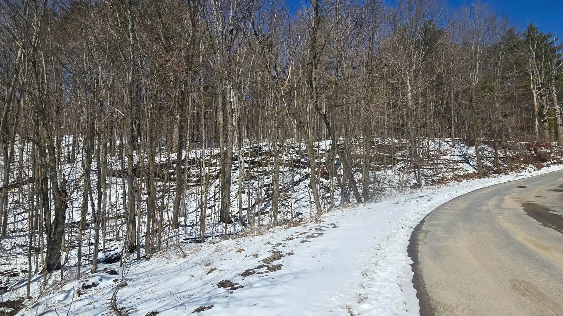 Property at 00 Williams Rd, Gouverneur, NY 13642 4