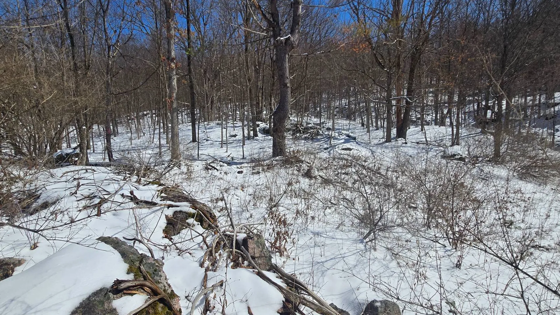 Property at 00 Williams Rd, Gouverneur, NY 13642 8