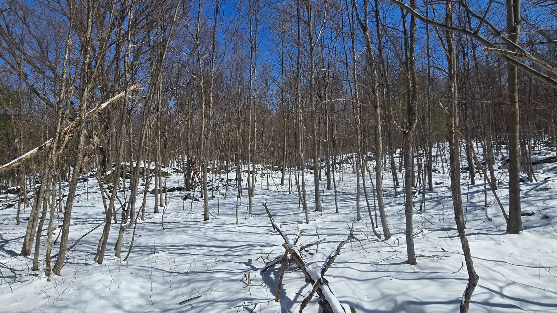 Property at 00 Williams Rd, Gouverneur, NY 13642 10