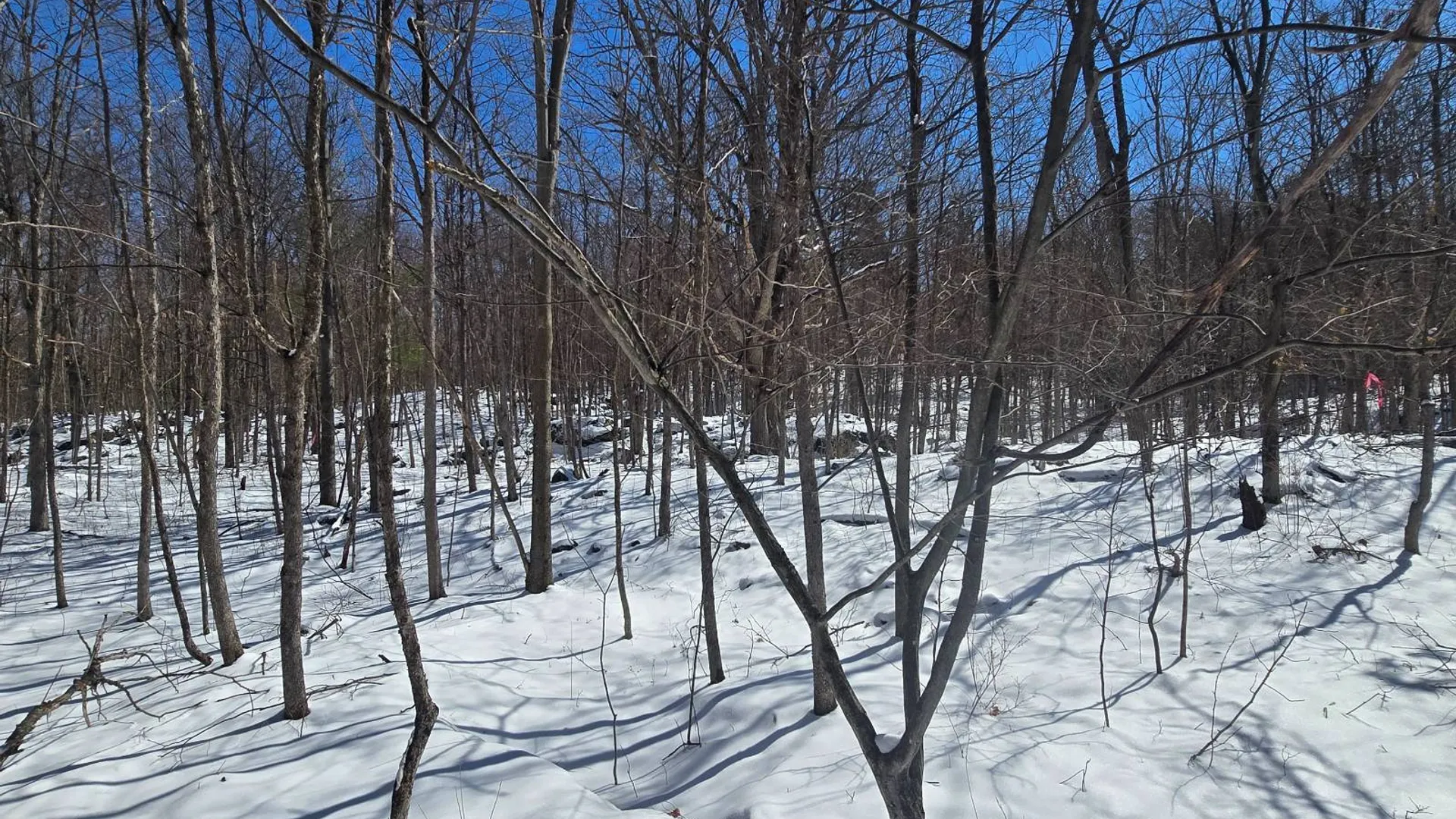 Property at 00 Williams Rd, Gouverneur, NY 13642 11