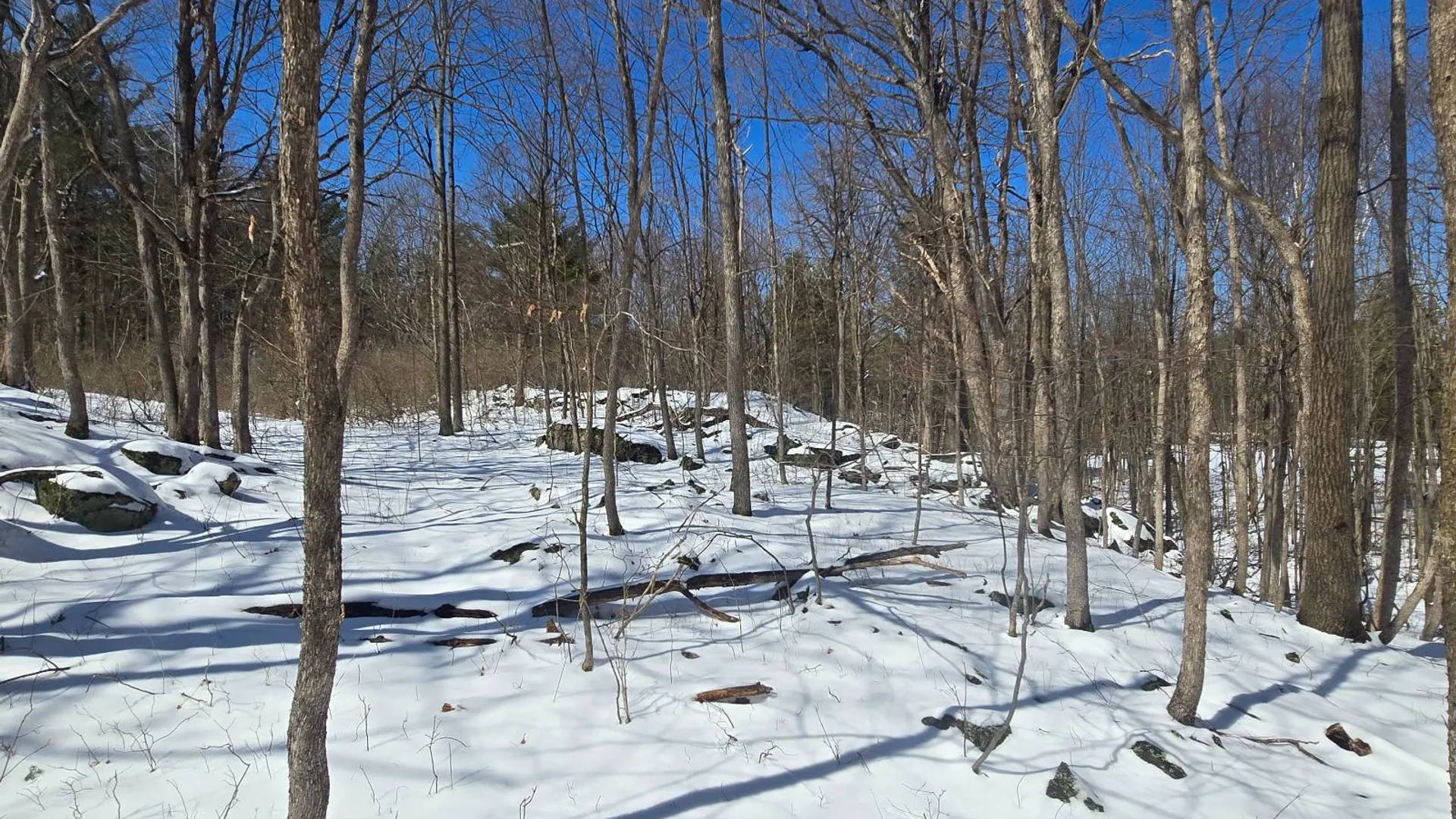 Property at 00 Williams Rd, Gouverneur, NY 13642 12