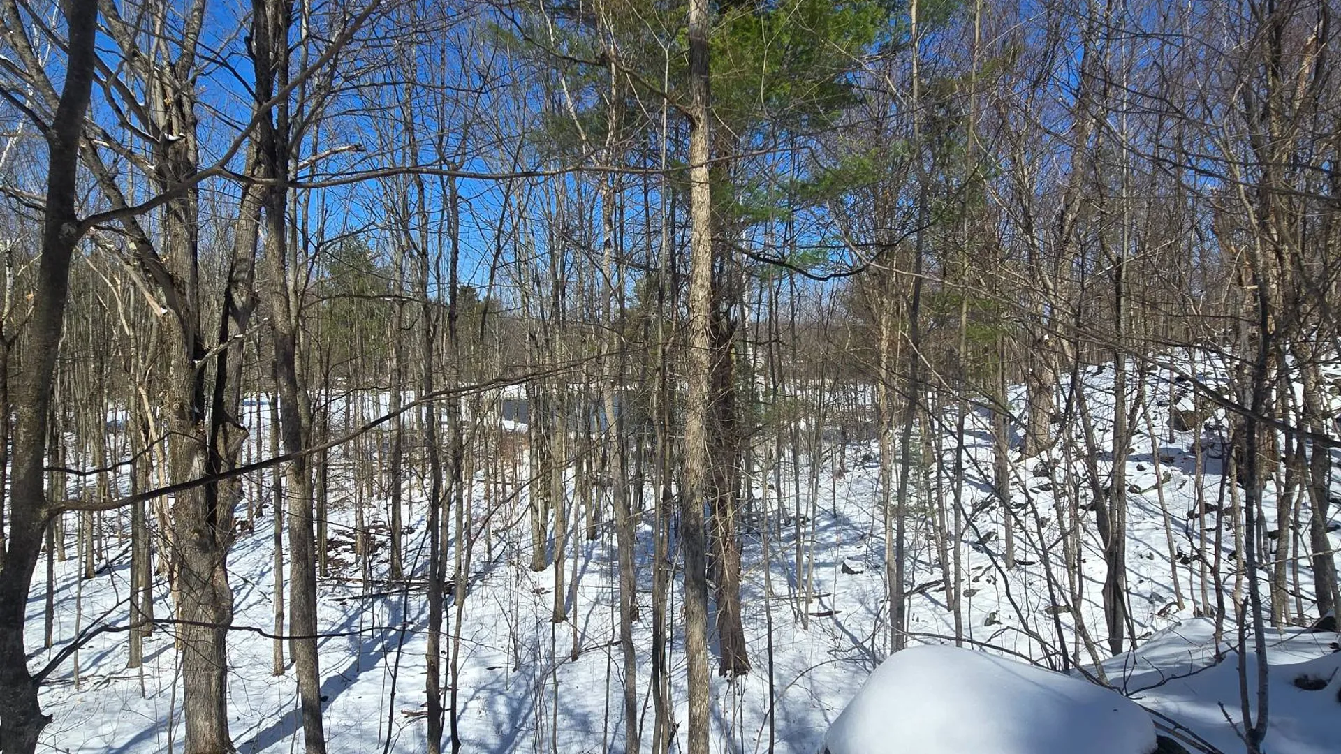 Property at 00 Williams Rd, Gouverneur, NY 13642 15