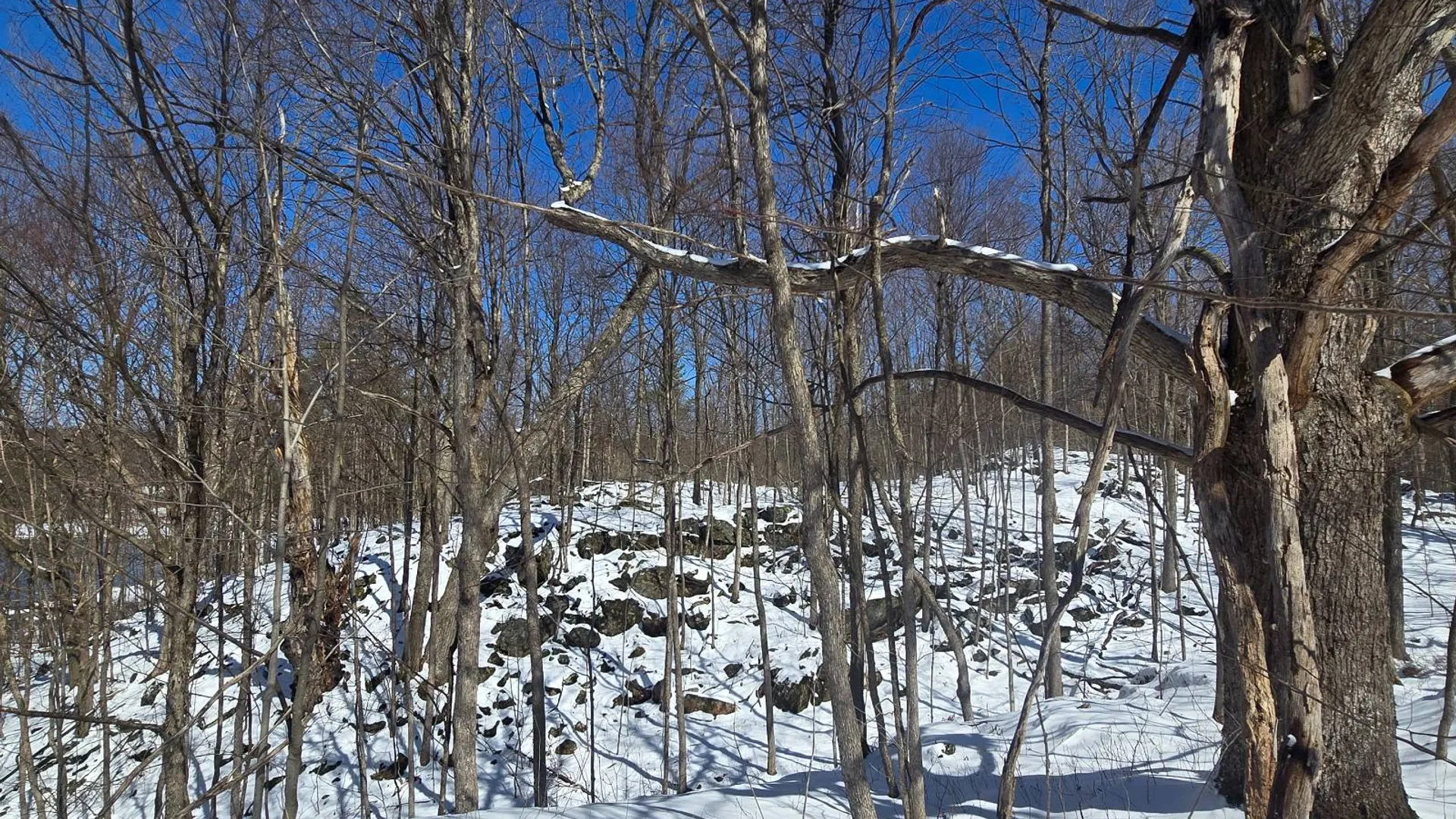 Property at 00 Williams Rd, Gouverneur, NY 13642 16