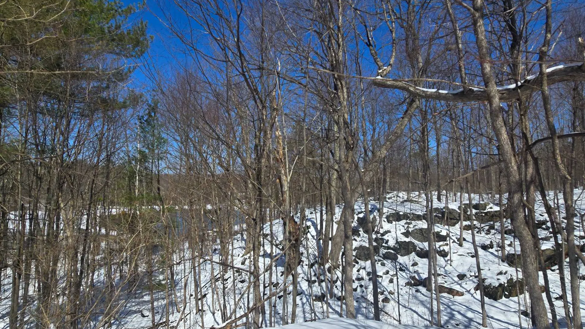 Property at 00 Williams Rd, Gouverneur, NY 13642 17