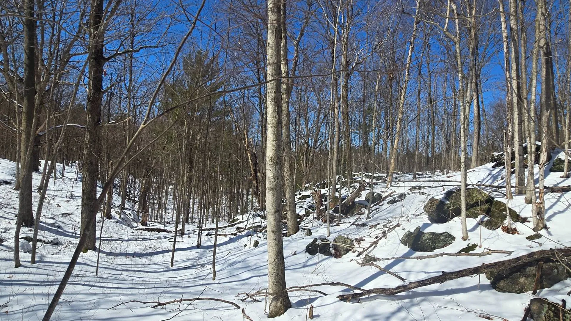 Property at 00 Williams Rd, Gouverneur, NY 13642 18