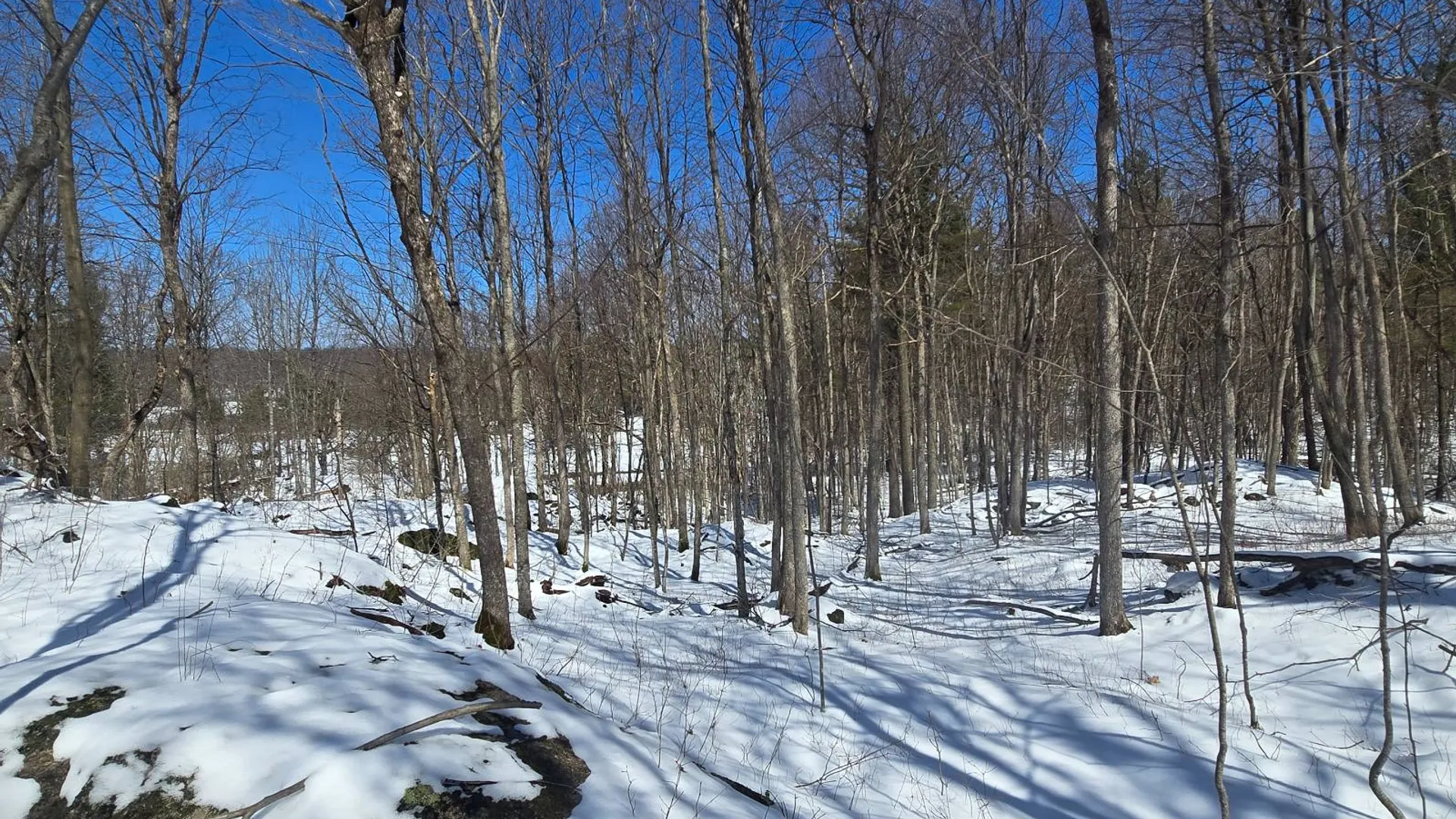 Property at 00 Williams Rd, Gouverneur, NY 13642 19