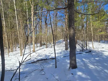 Property at 00 Williams Rd, Gouverneur, NY 13642
