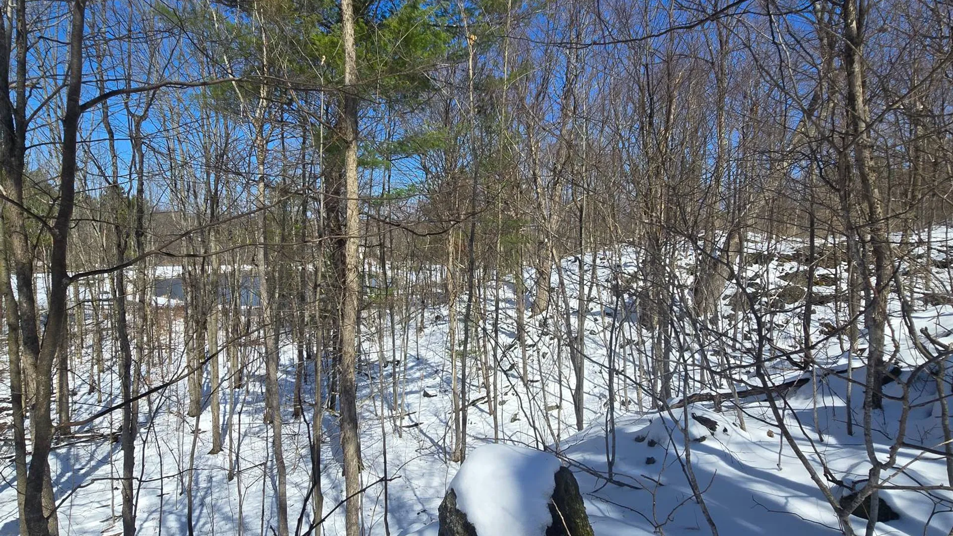Property at 00 Williams Rd, Gouverneur, NY 13642 2