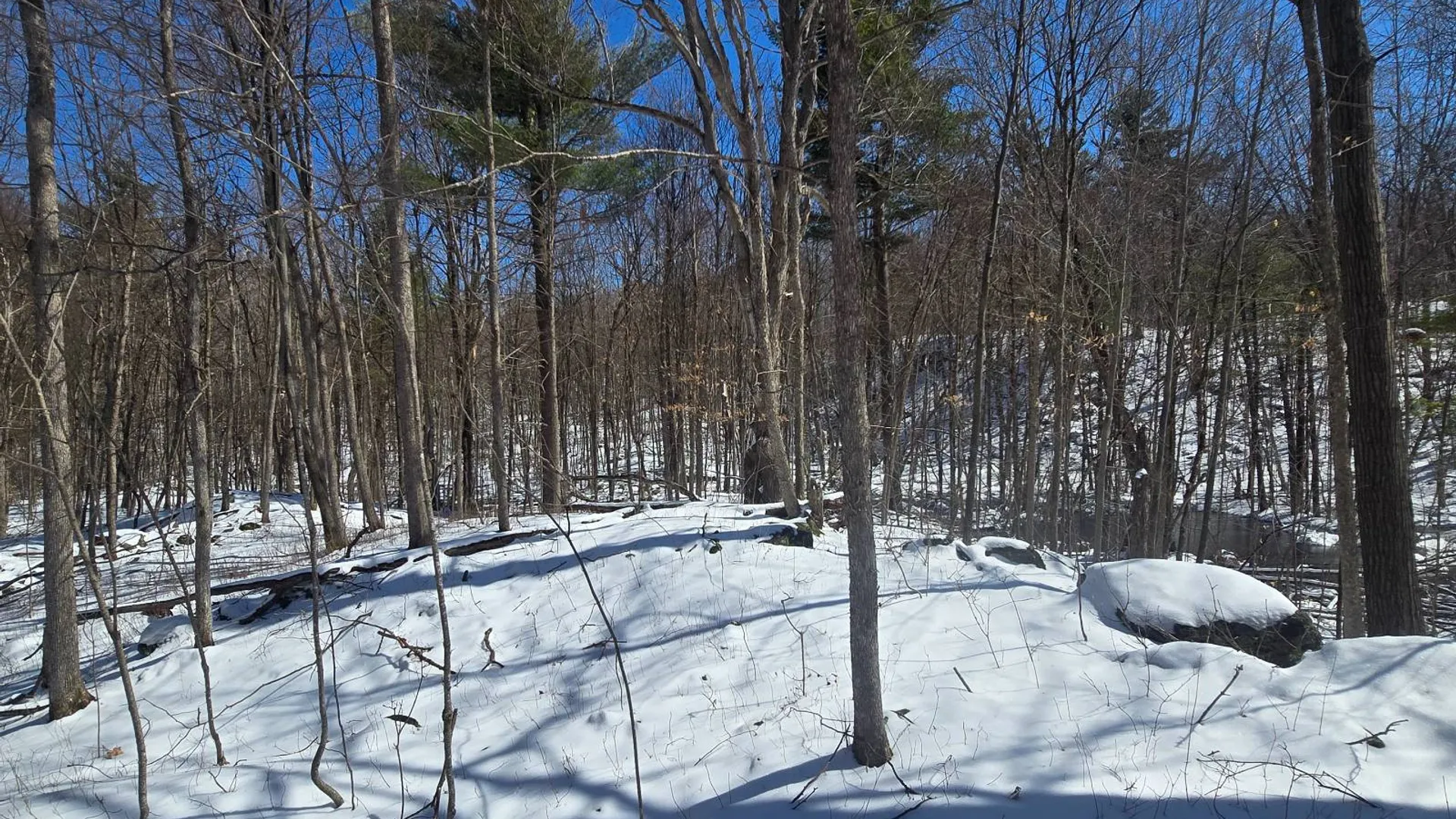 Property at 00 Williams Rd, Gouverneur, NY 13642 20