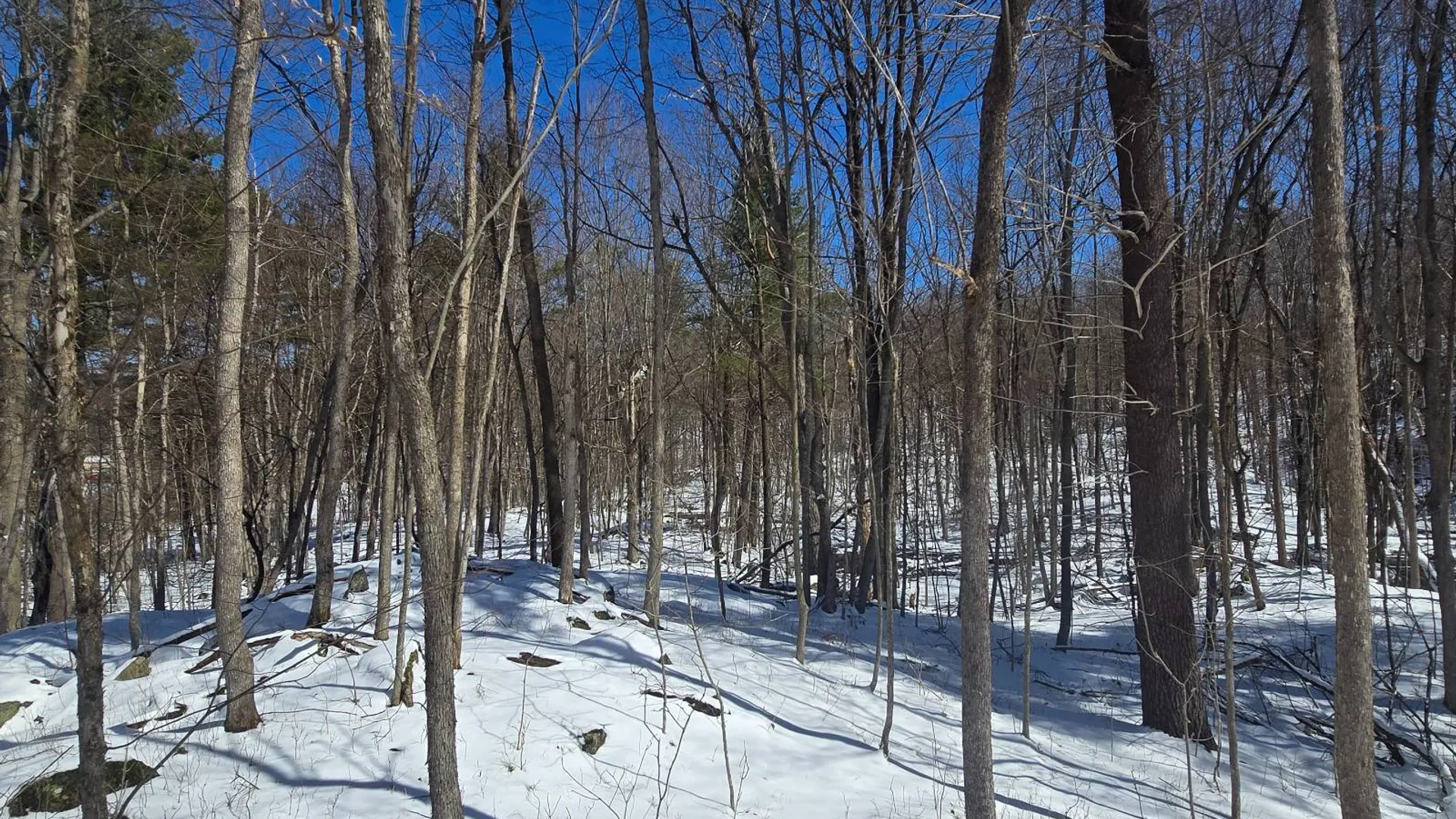 Property at 00 Williams Rd, Gouverneur, NY 13642 21