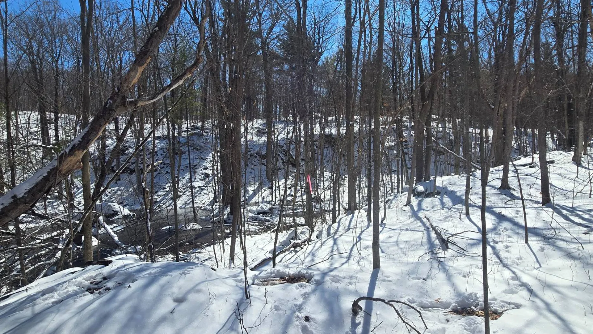 Property at 00 Williams Rd, Gouverneur, NY 13642 22
