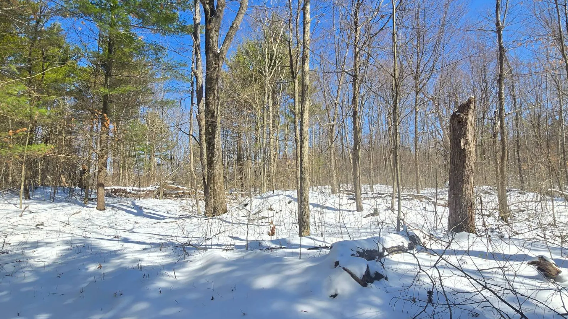 Property at 00 Williams Rd, Gouverneur, NY 13642 3