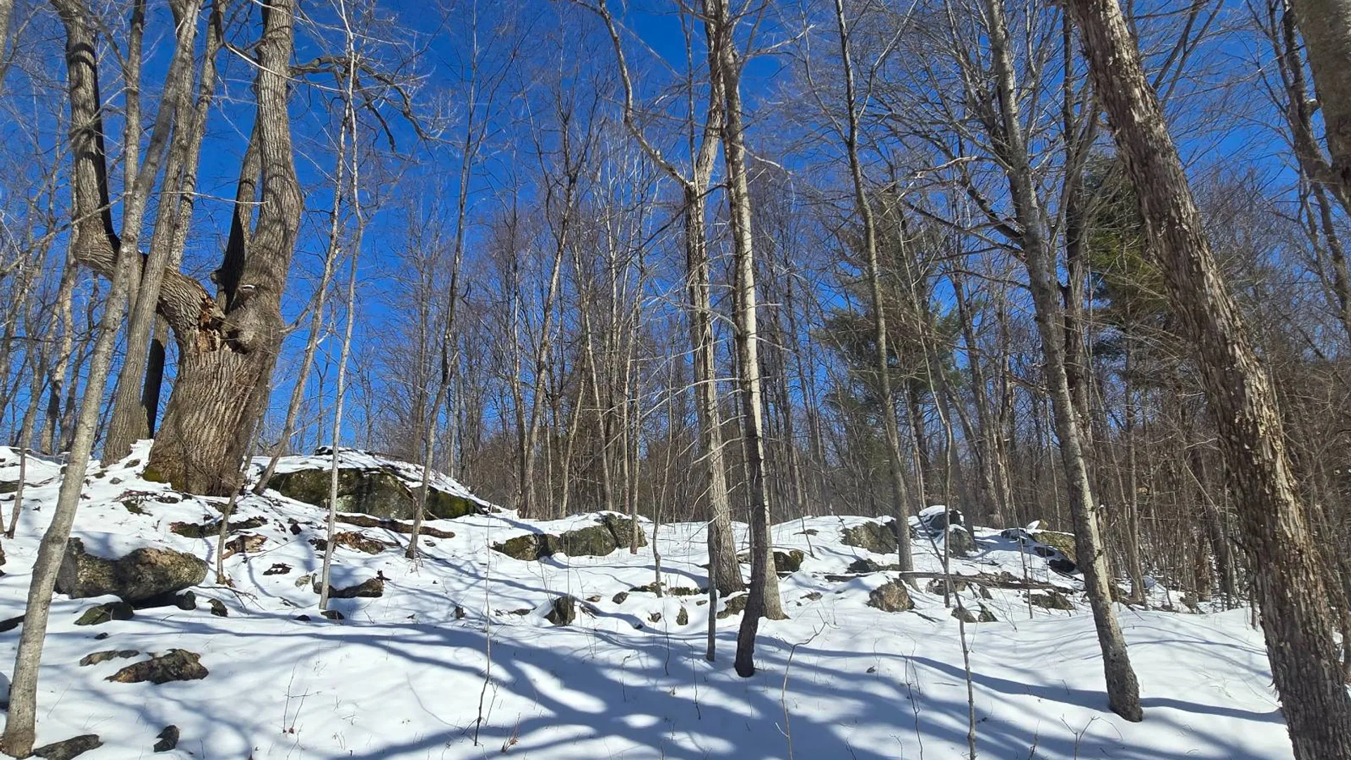 Property at 00 Williams Rd, Gouverneur, NY 13642 4