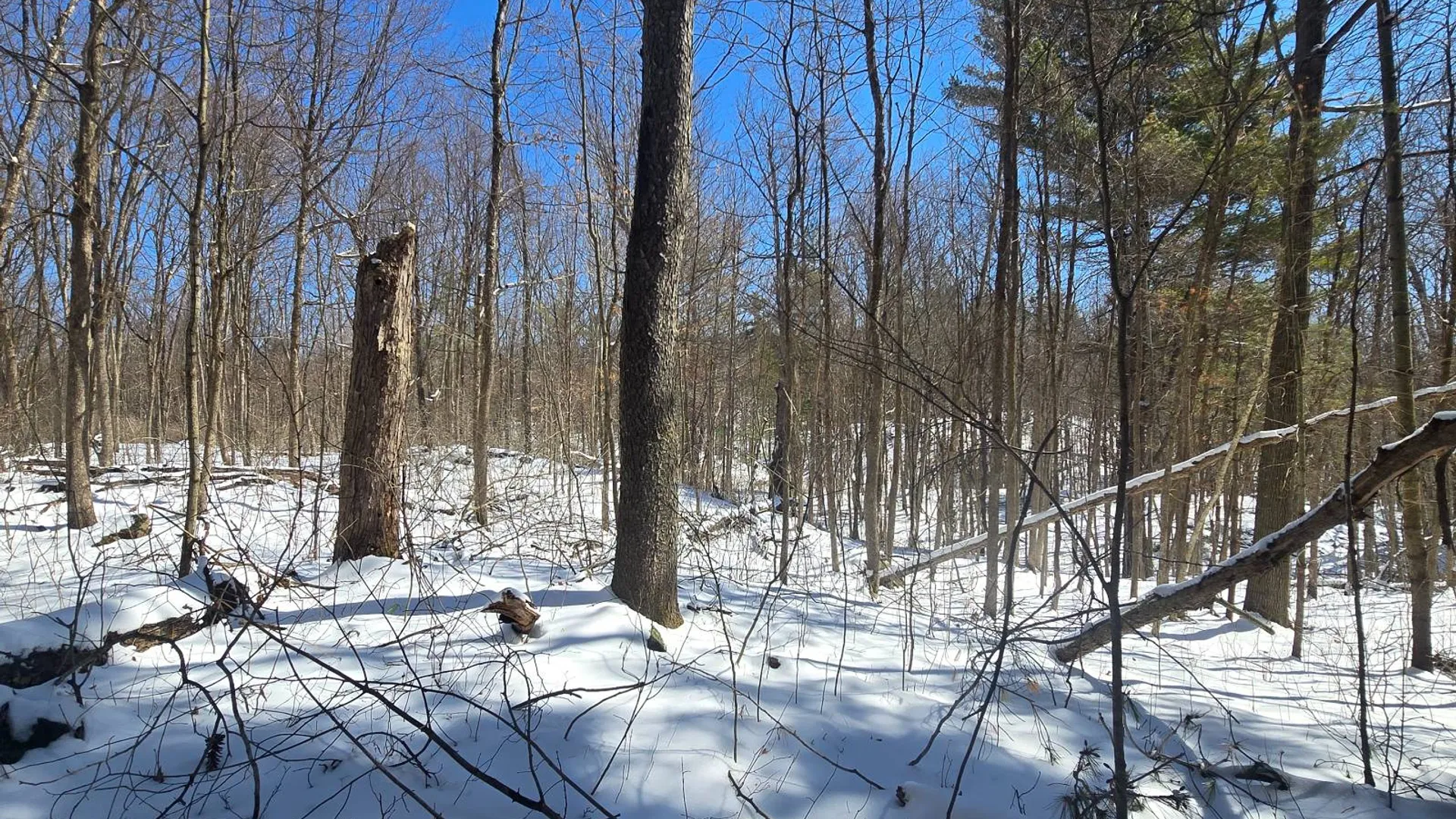 Property at 00 Williams Rd, Gouverneur, NY 13642 5