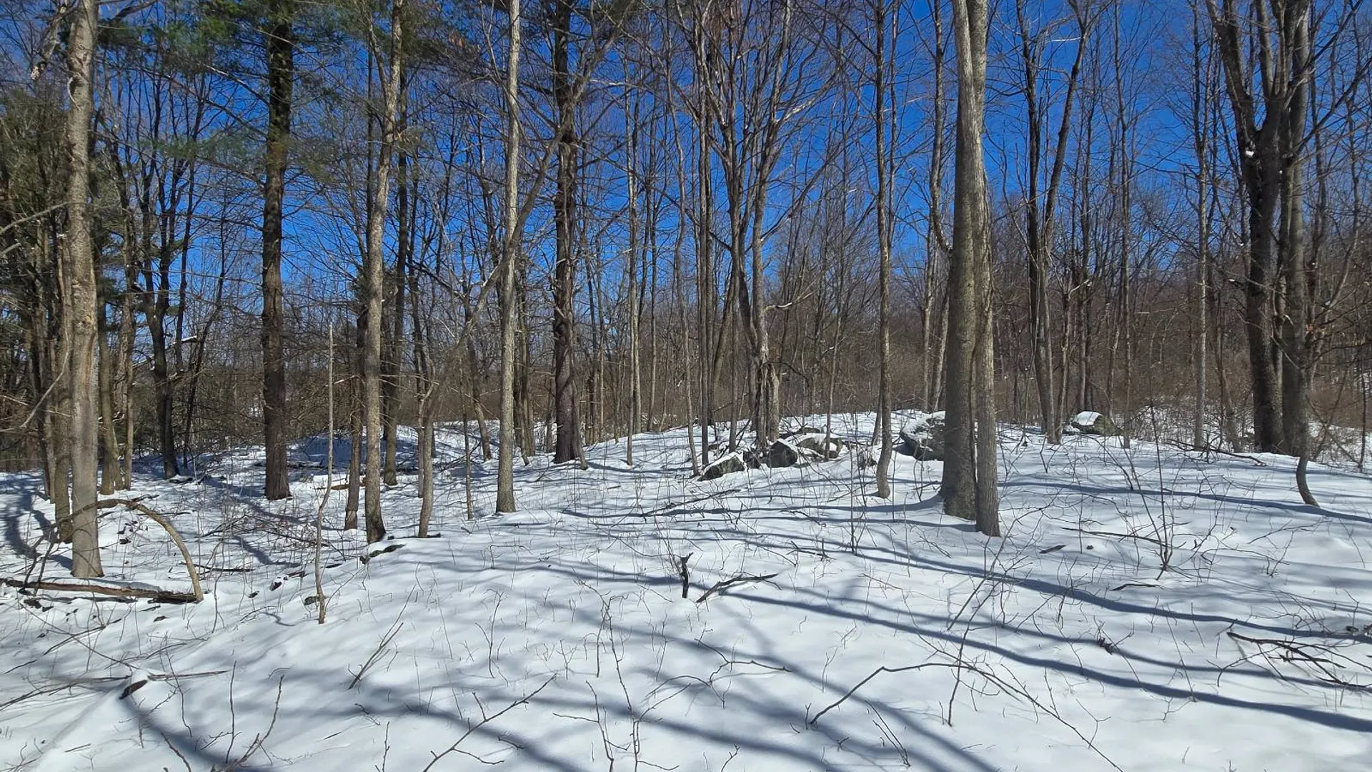 Property at 00 Williams Rd, Gouverneur, NY 13642 6