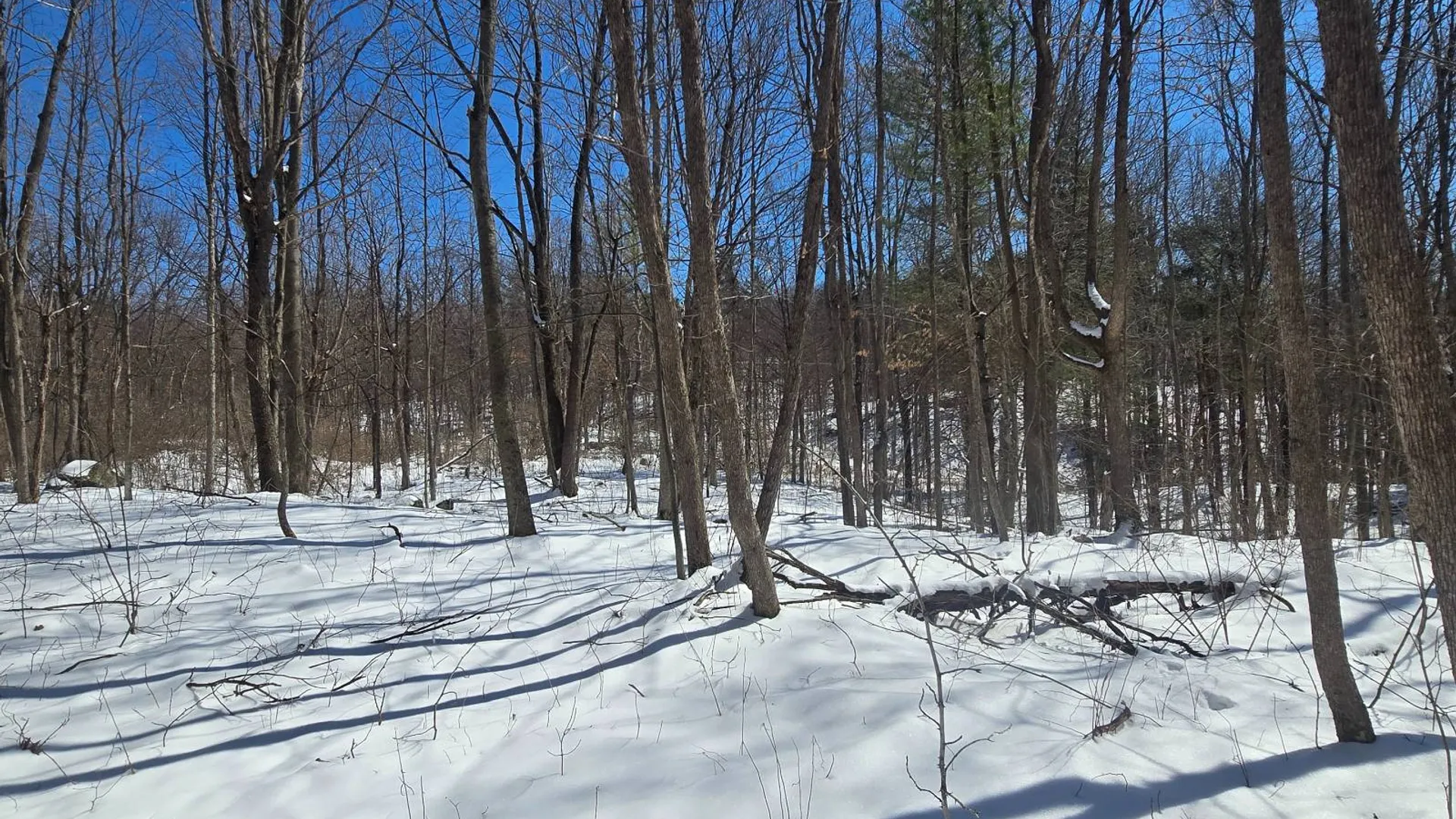 Property at 00 Williams Rd, Gouverneur, NY 13642 7