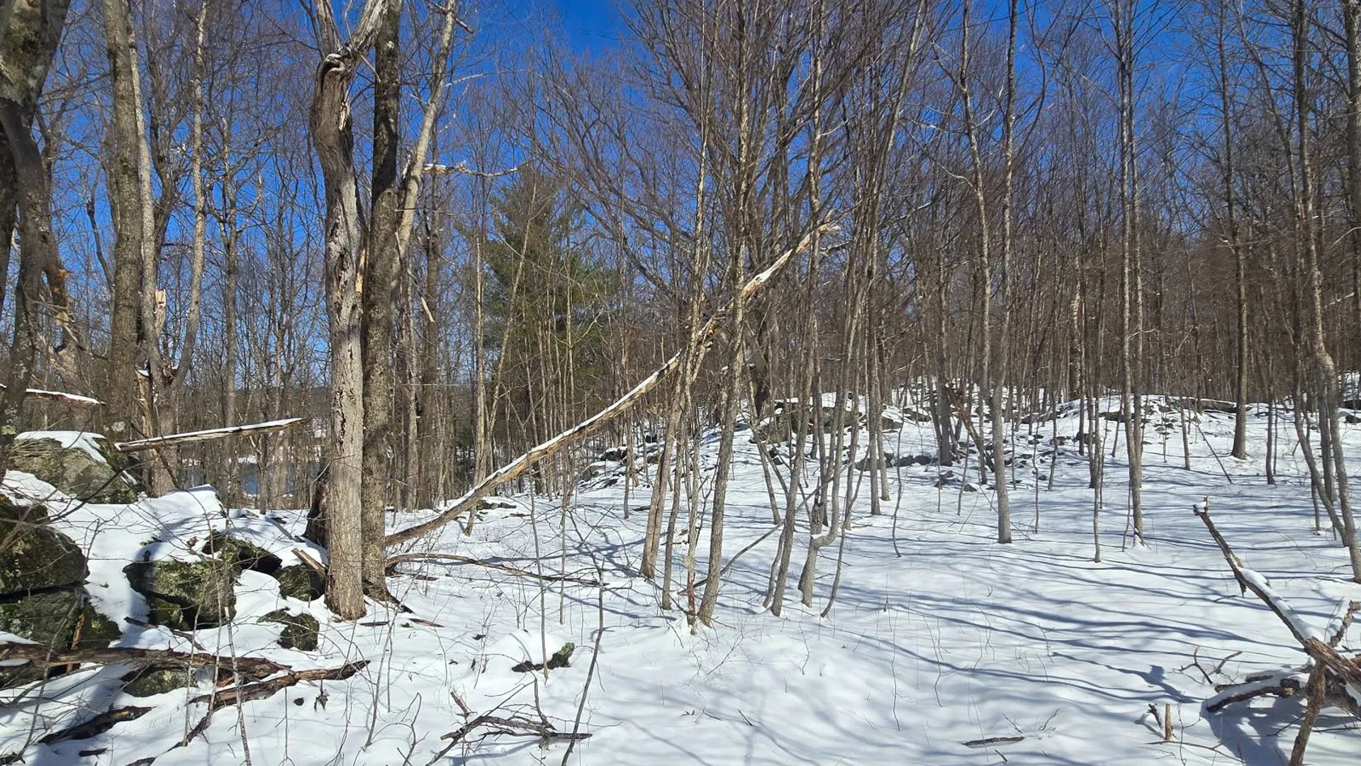 Property at 00 Williams Rd, Gouverneur, NY 13642 8