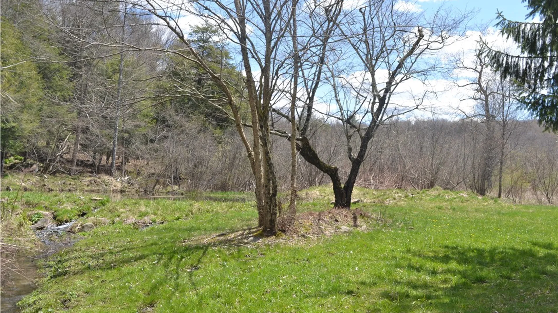 Property at 144 Bonnie Brook Road, Hancock, NY 12776 30