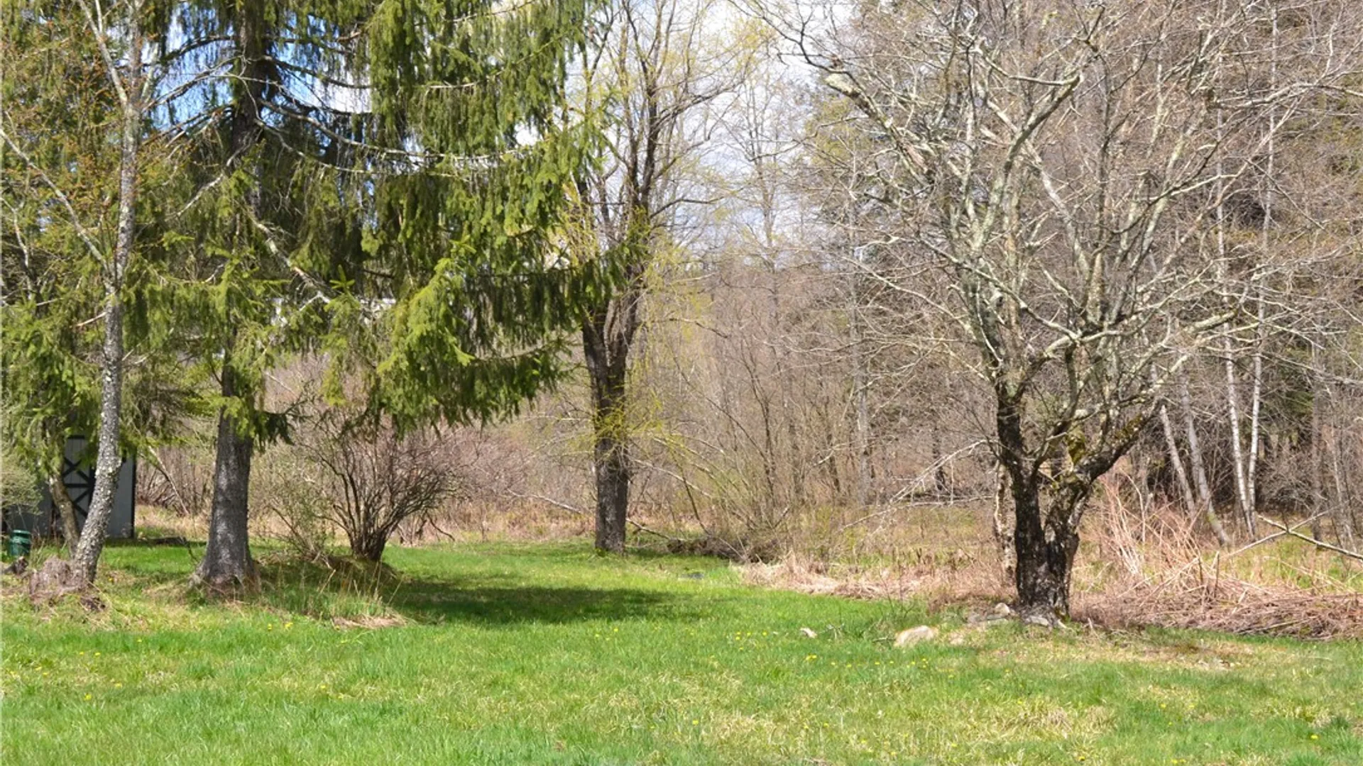 Property at 144 Bonnie Brook Road, Hancock, NY 12776 33