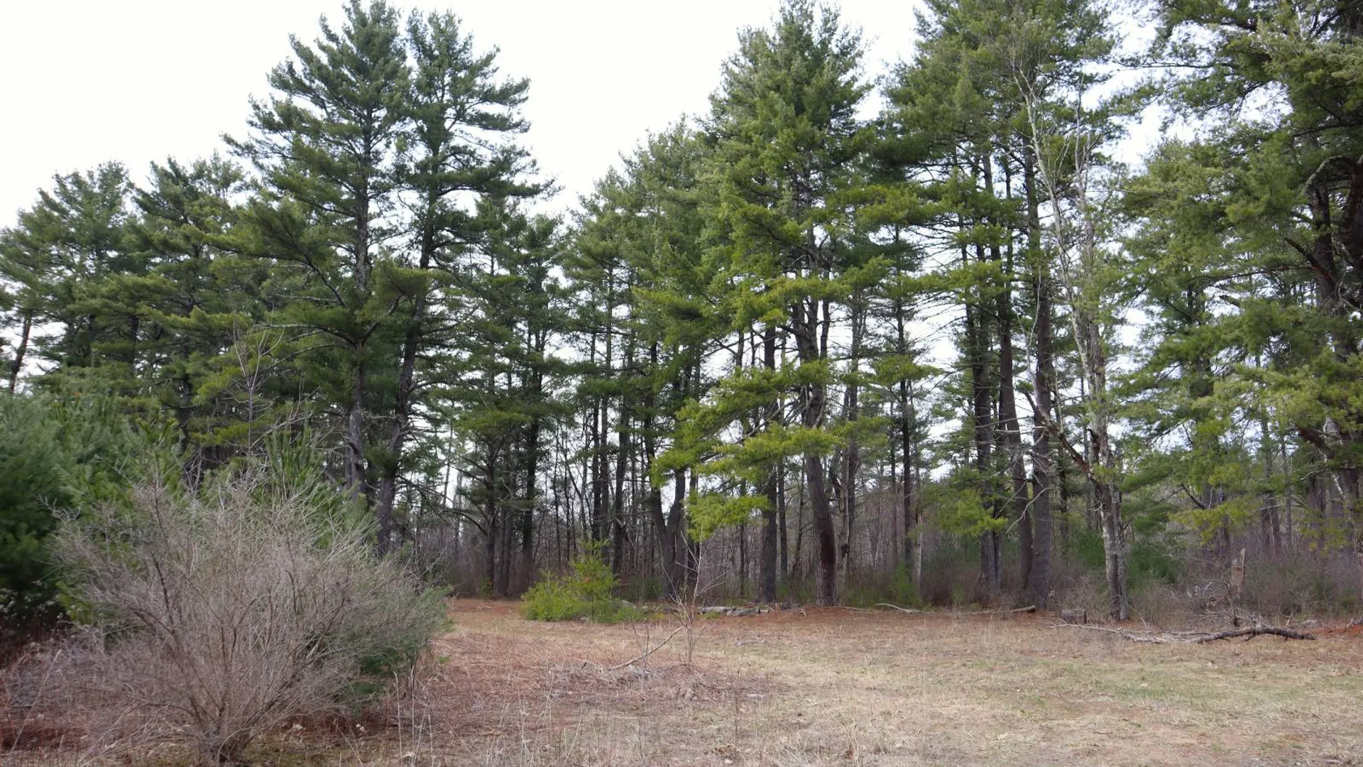 Property at 3681 NY 7, Hoosick Falls, NY 12090 13