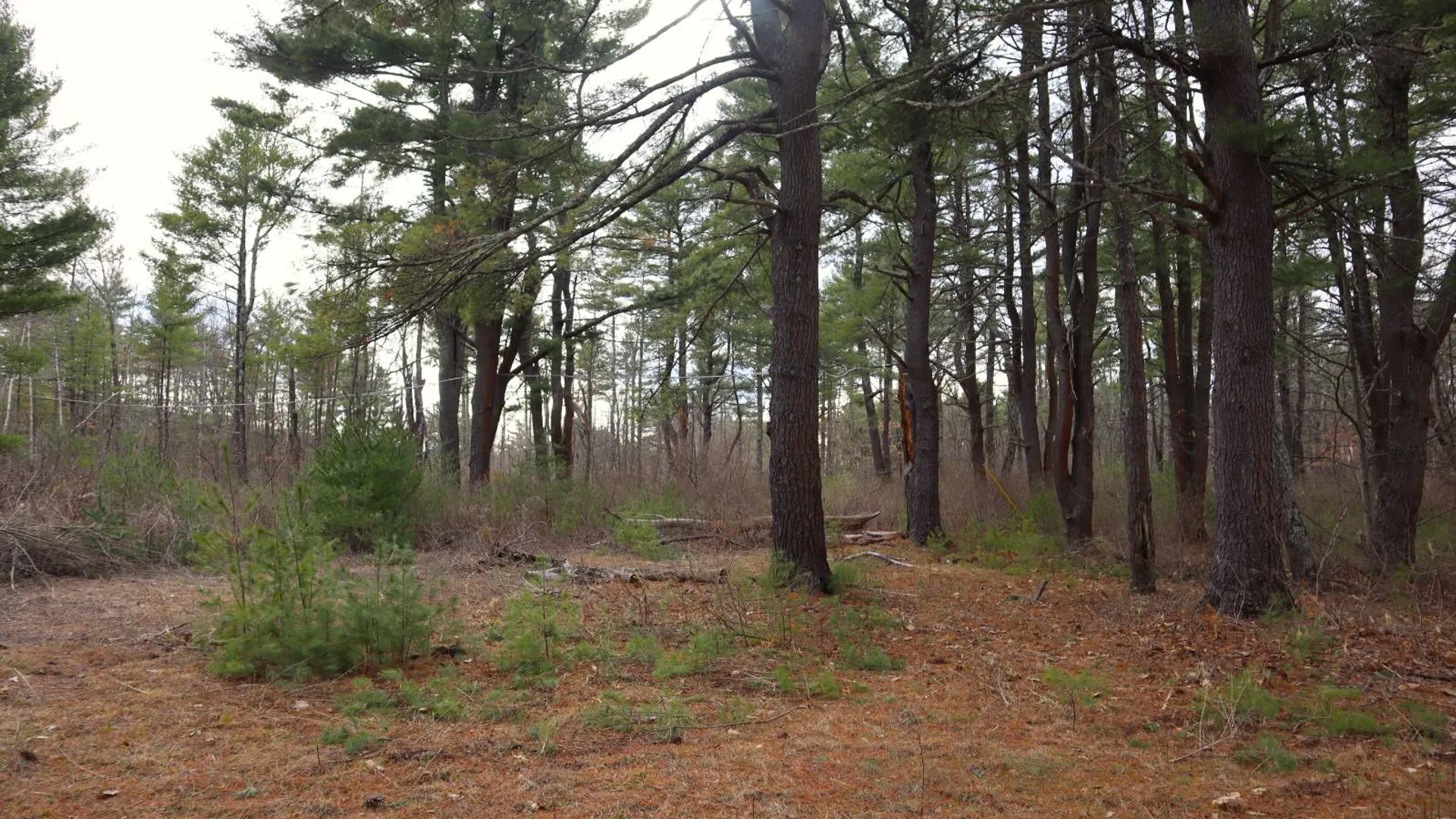 Property at 3681 NY 7, Hoosick Falls, NY 12090 14