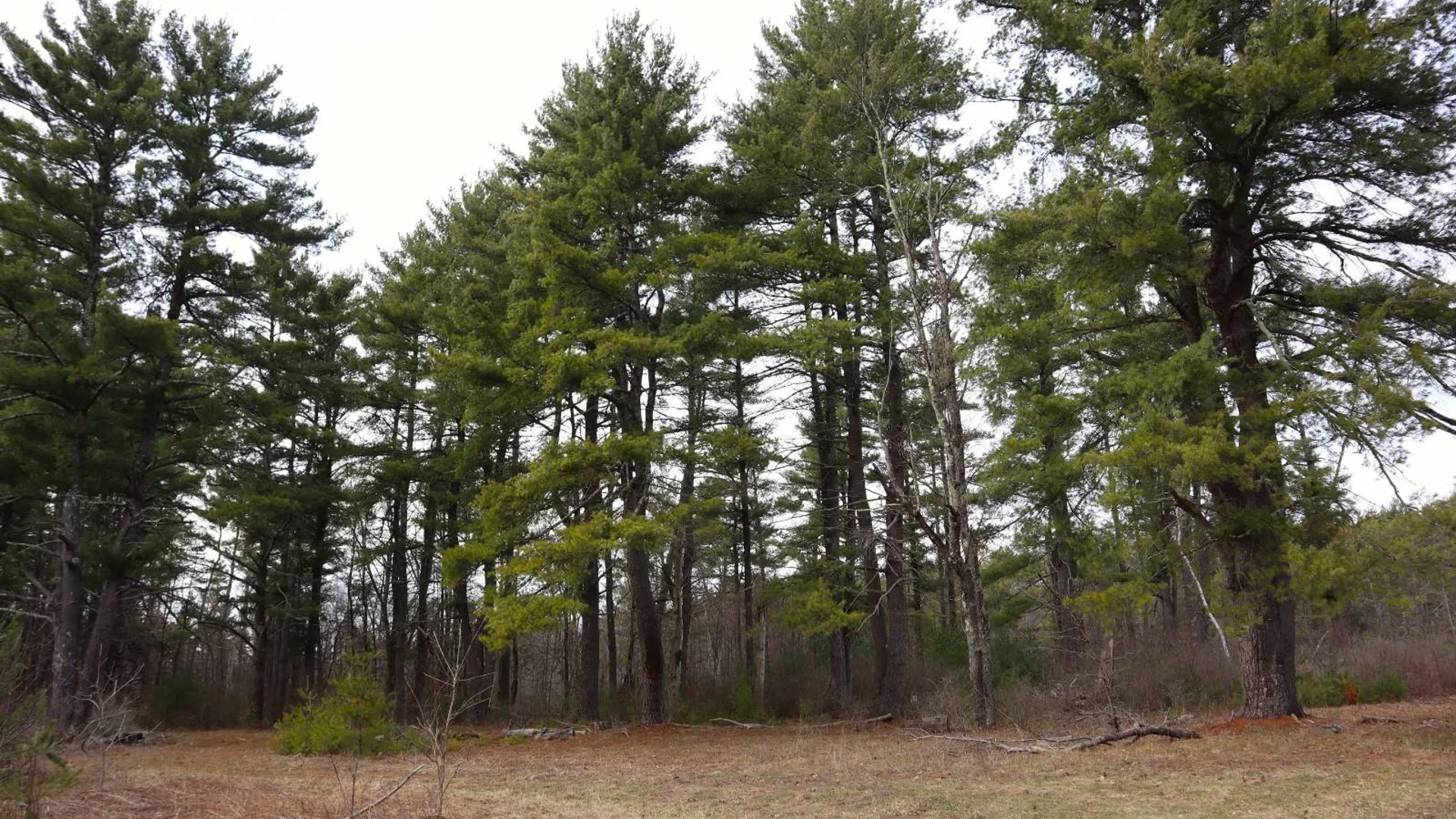 Property at 3681 NY 7, Hoosick Falls, NY 12090 16