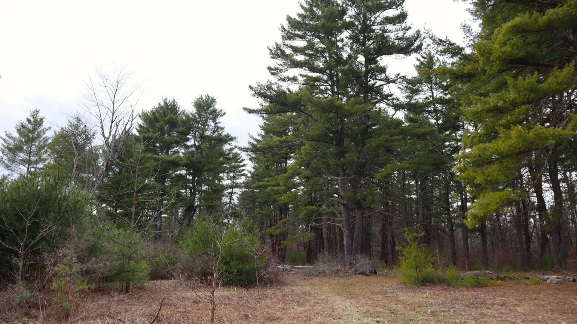Property at 3681 NY 7, Hoosick Falls, NY 12090 25