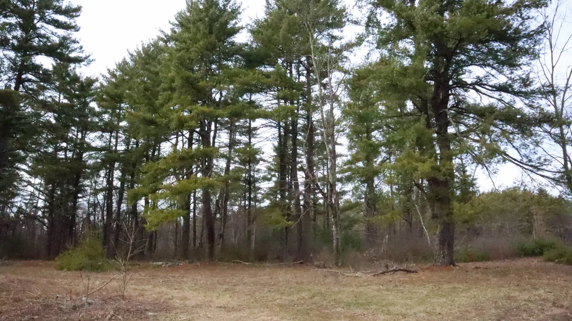 Property at 3681 NY 7, Hoosick Falls, NY 12090 26