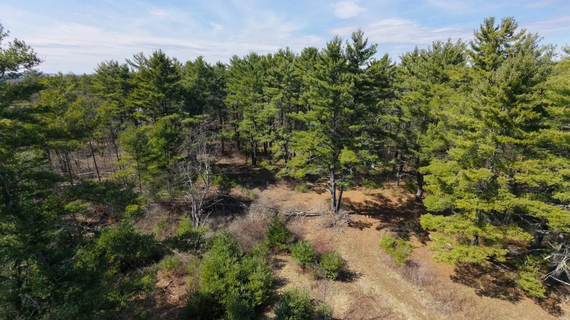 Property at 3681 NY 7, Hoosick Falls, NY 12090 4