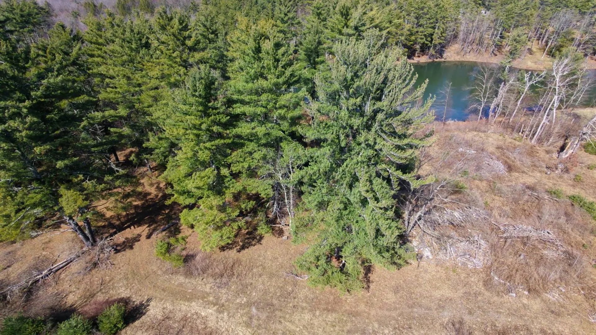 Property at 3681 NY 7, Hoosick Falls, NY 12090 5