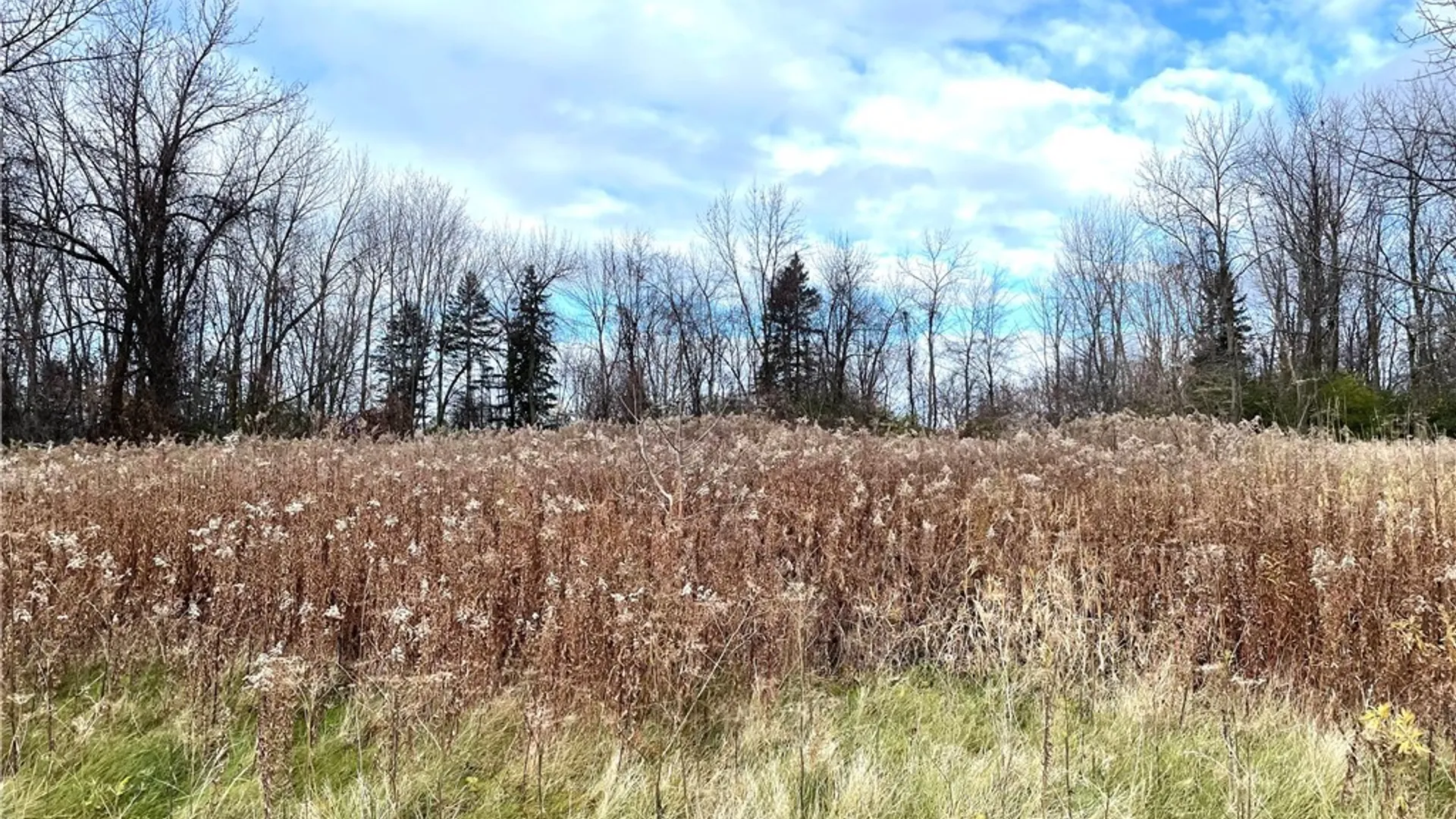 Property at Rt-131, Massena, NY 13662 5