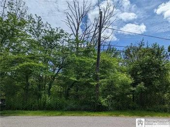 Property at 45 Magnolia Avenue, Ellicott, NY 14701