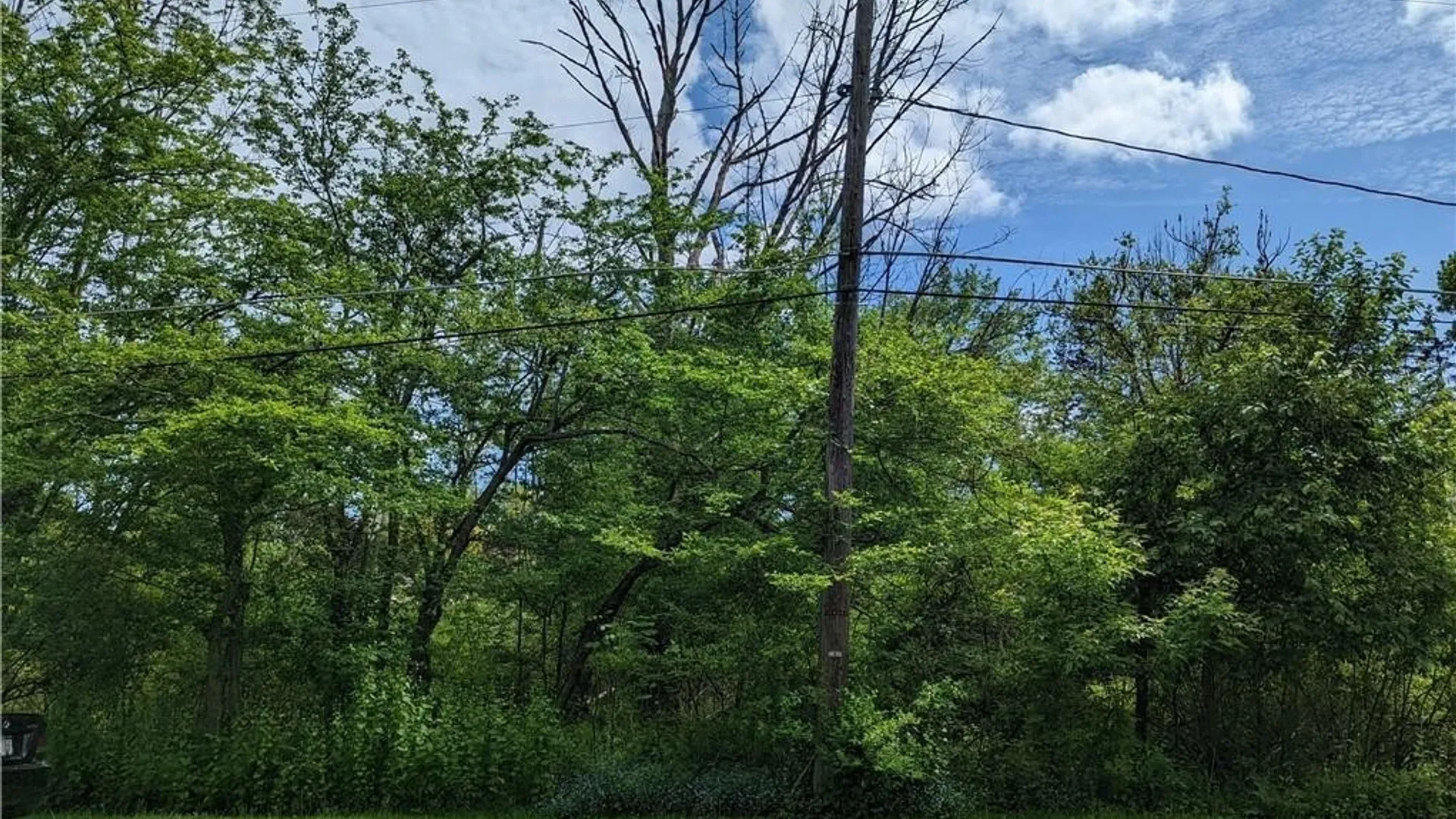 Property at 45 Magnolia Avenue, Ellicott, NY 14701 2