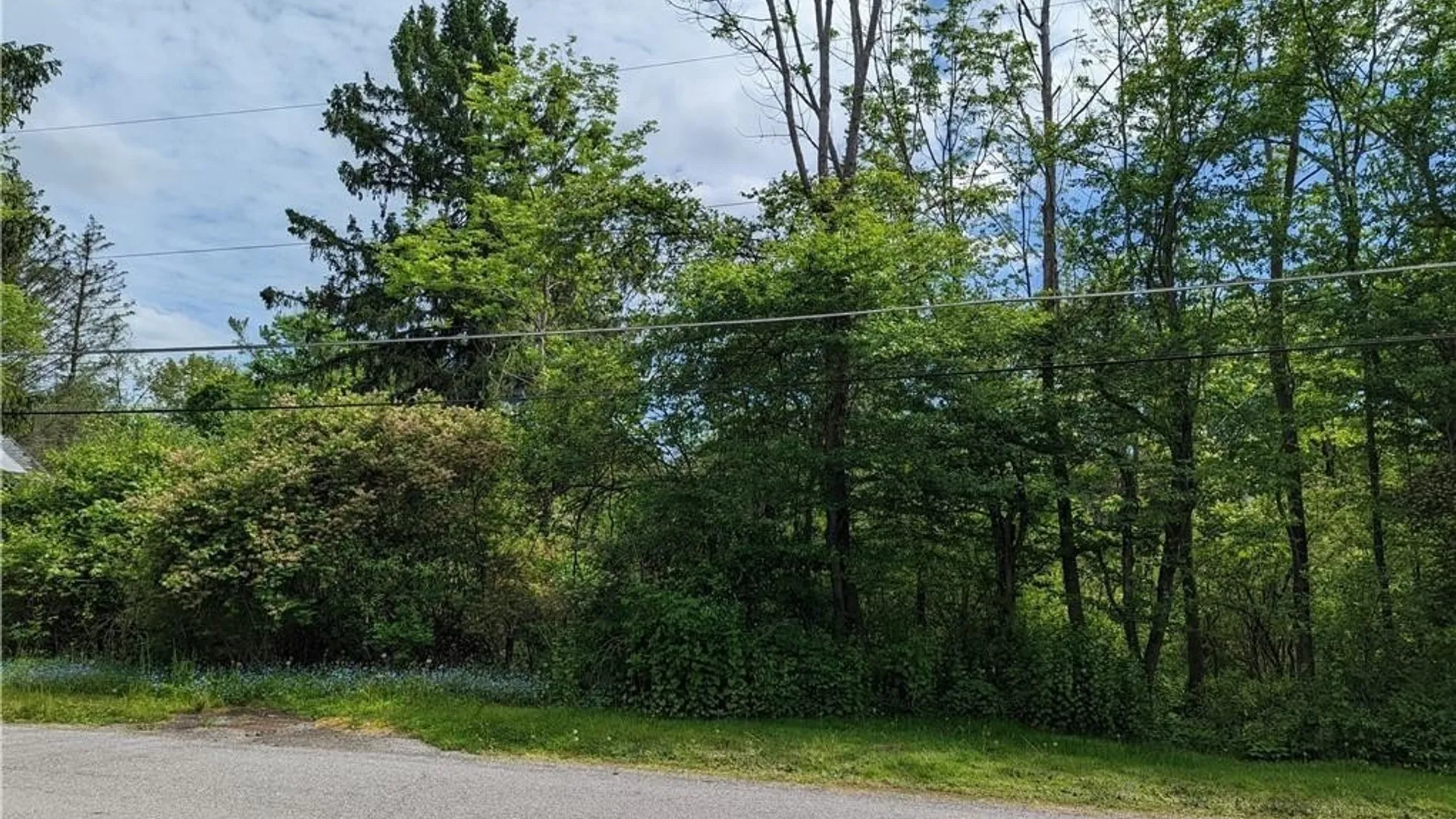 Property at 45 Magnolia Avenue, Ellicott, NY 14701 3