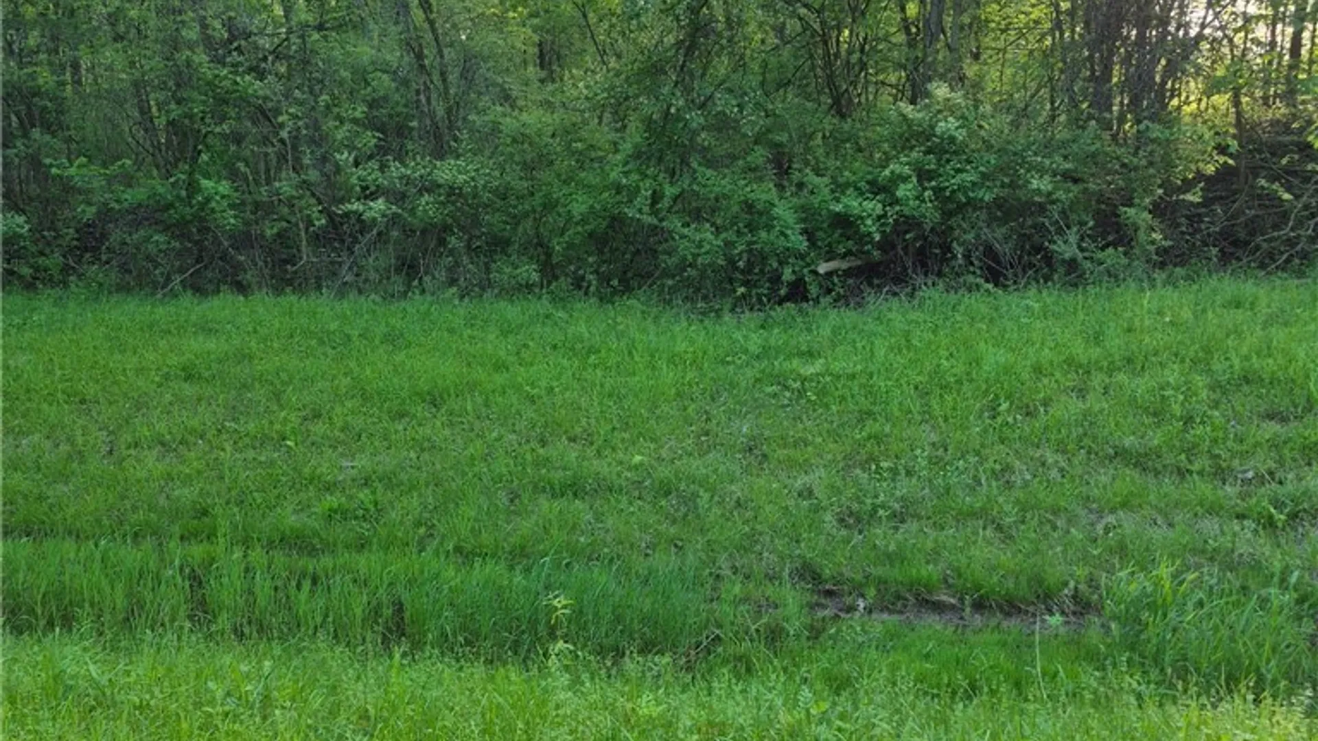 Property at 7860 Ditch Road, Hartland, NY 14067 6