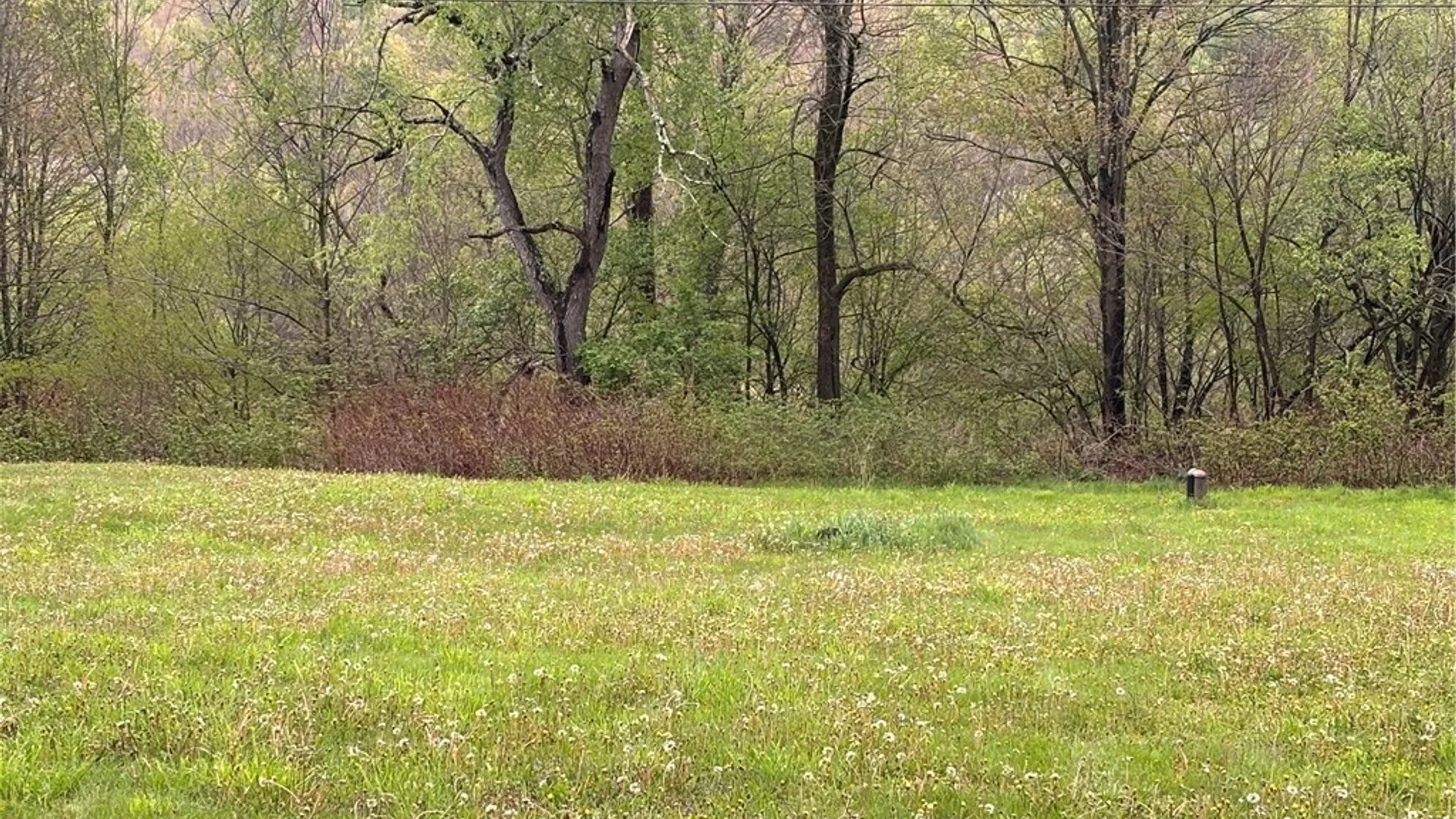 Property at 1780 Roses Brook Road, Stamford, NY 13842 12