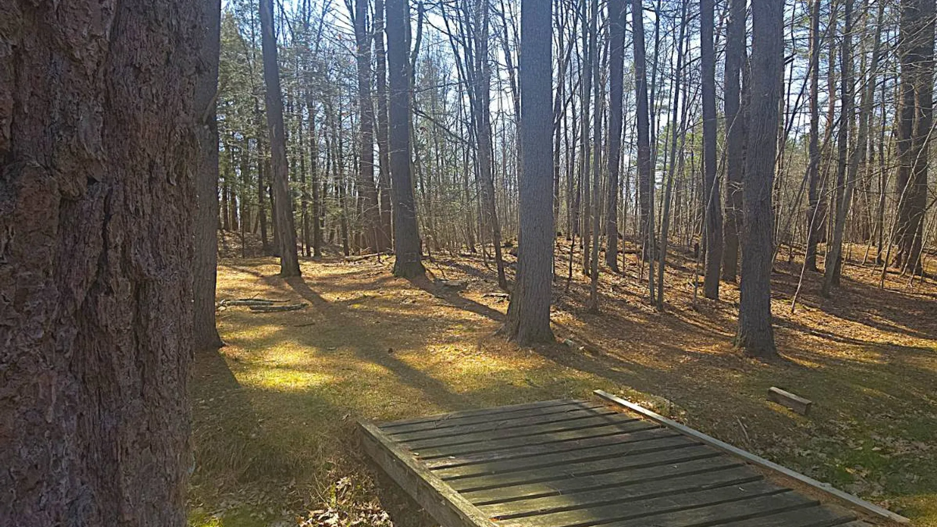 Property at 88 County Road 54, Hannacroix, NY 12087 21