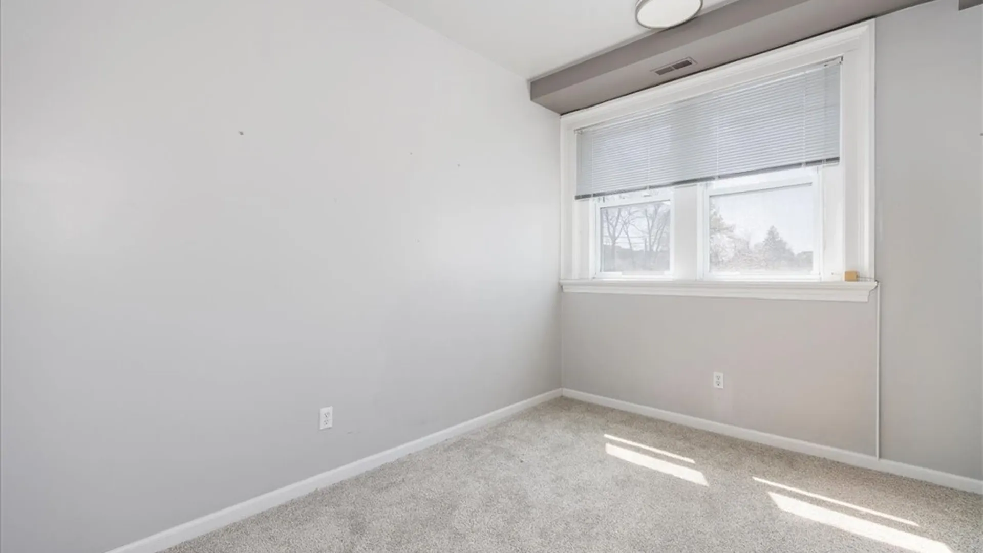 Property at 231 Richmond Avenue, Buffalo, NY 14222 12