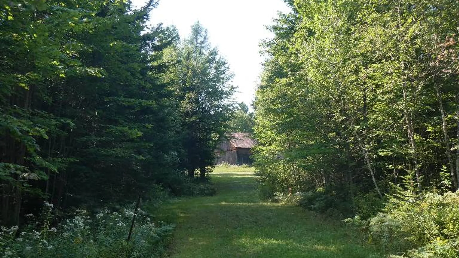 Property at 217 Tyler Road, Vermontville, NY 12989 2