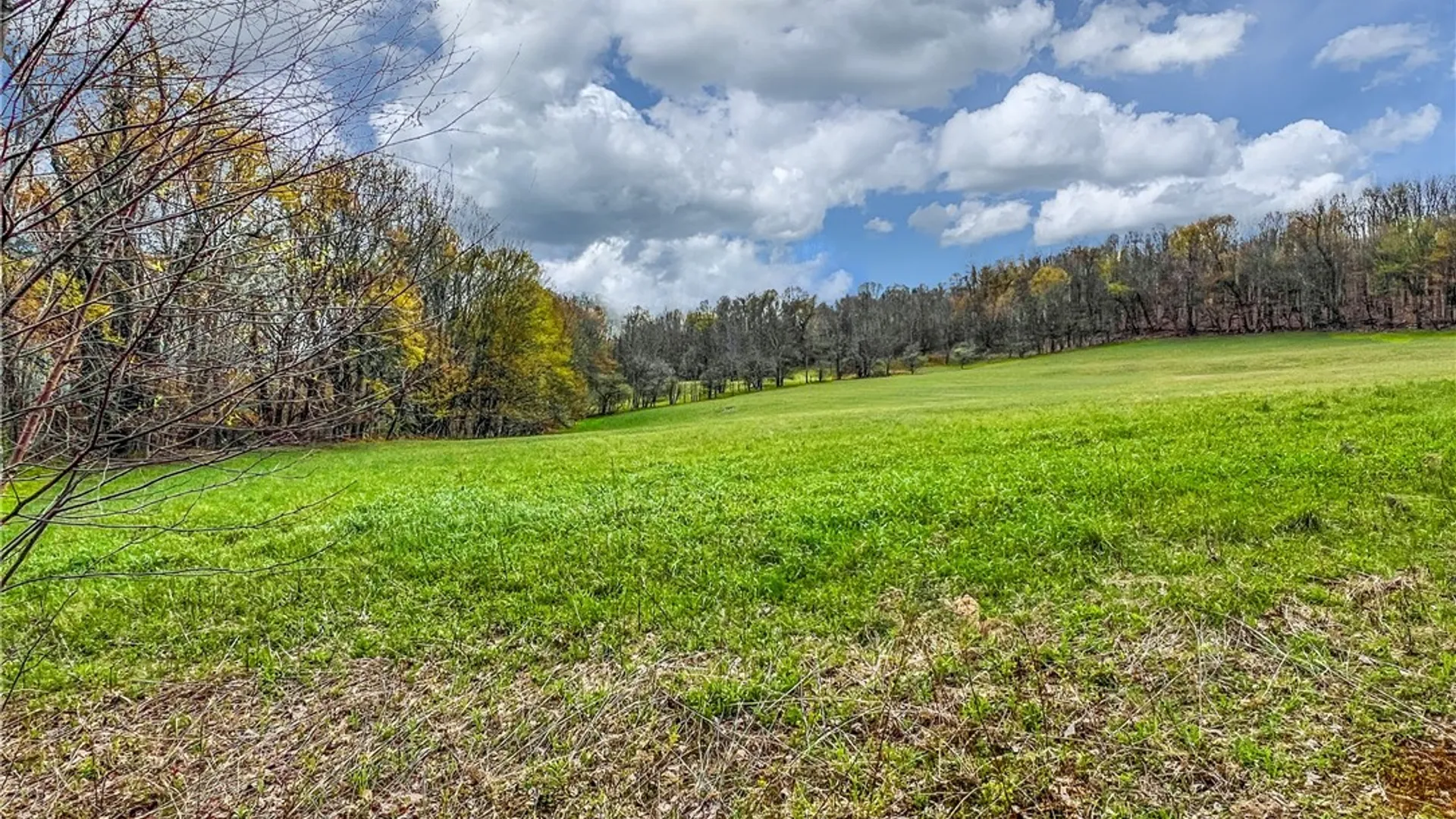 Property at Lot 3 Brownell Road, Kortright, NY 13739 11