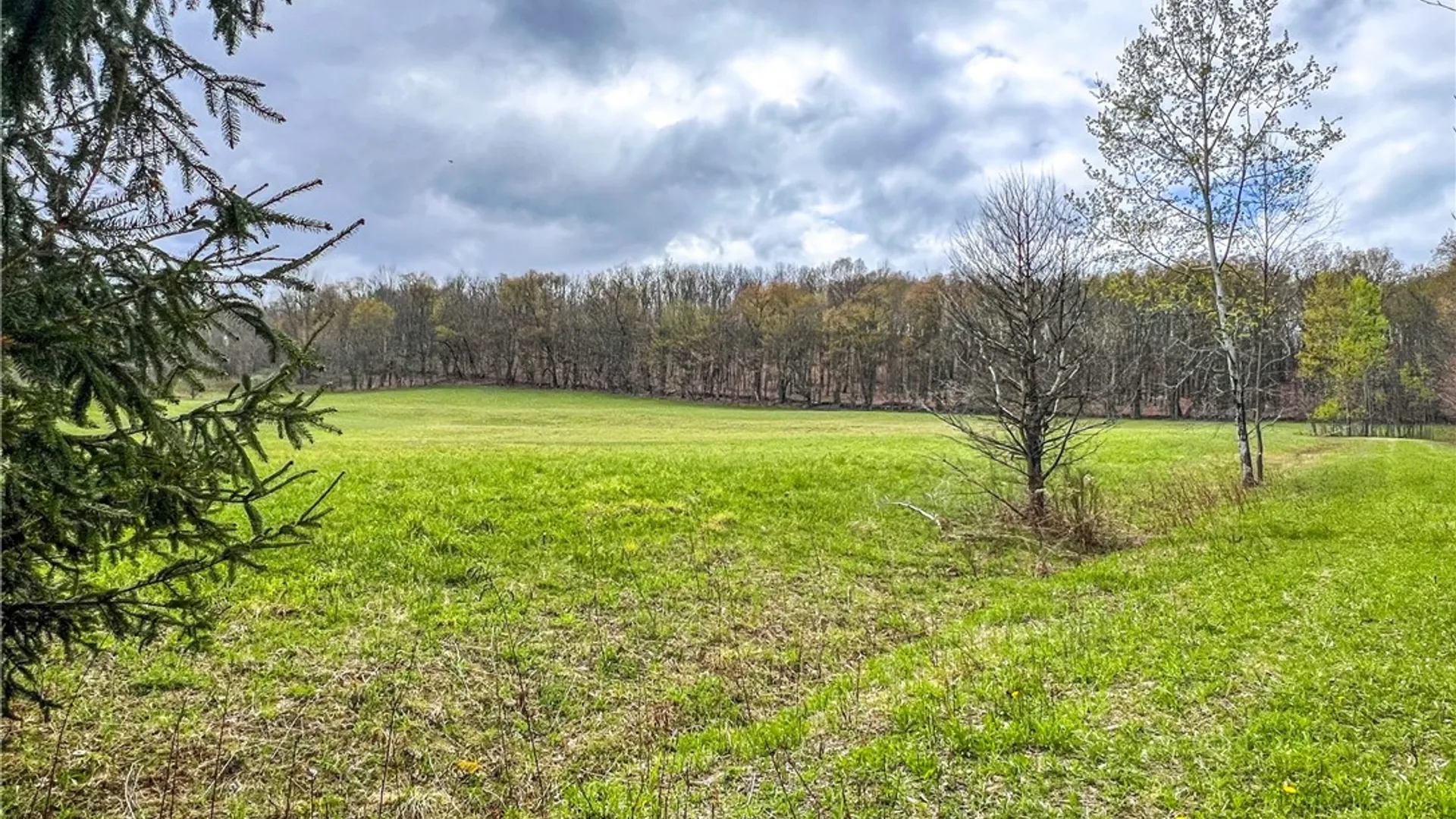 Property at Lot 3 Brownell Road, Kortright, NY 13739 12