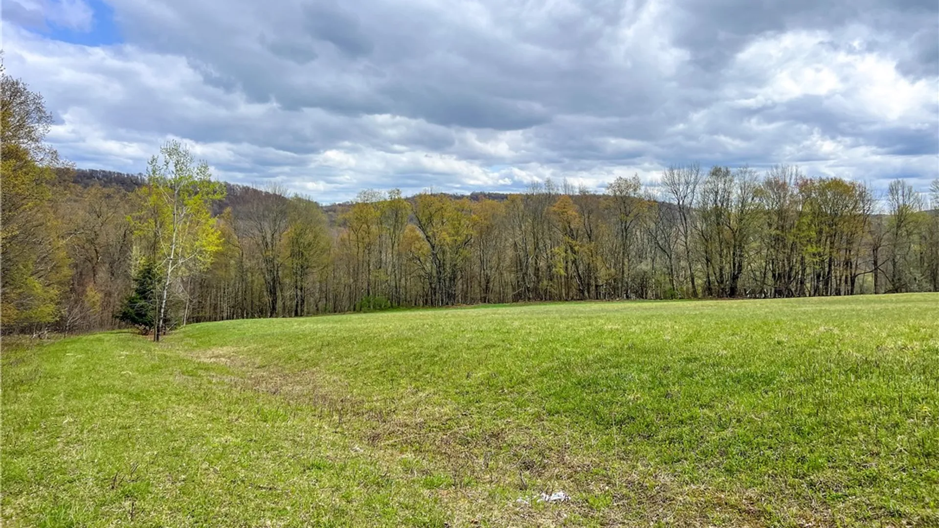 Property at Lot 3 Brownell Road, Kortright, NY 13739 13