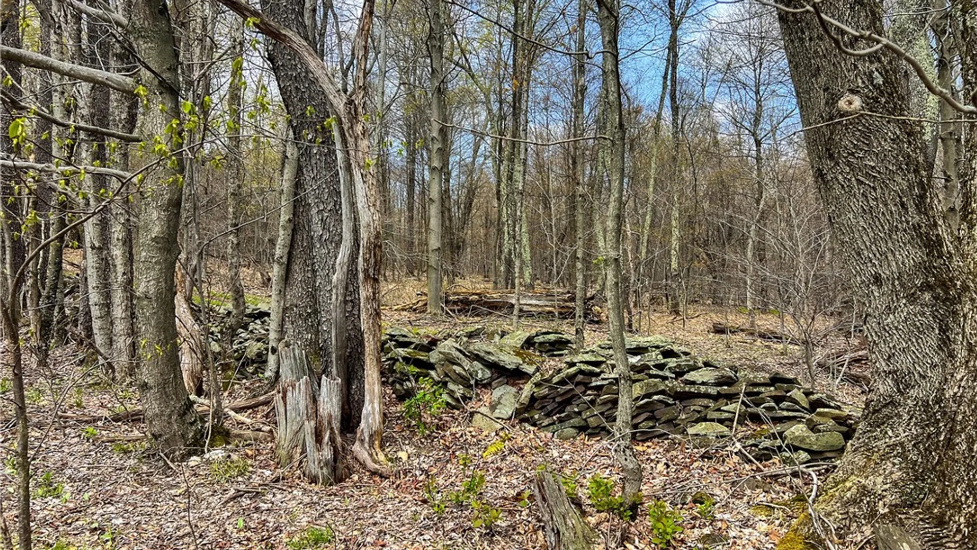 Property at Lot 3 Brownell Road, Kortright, NY 13739 15