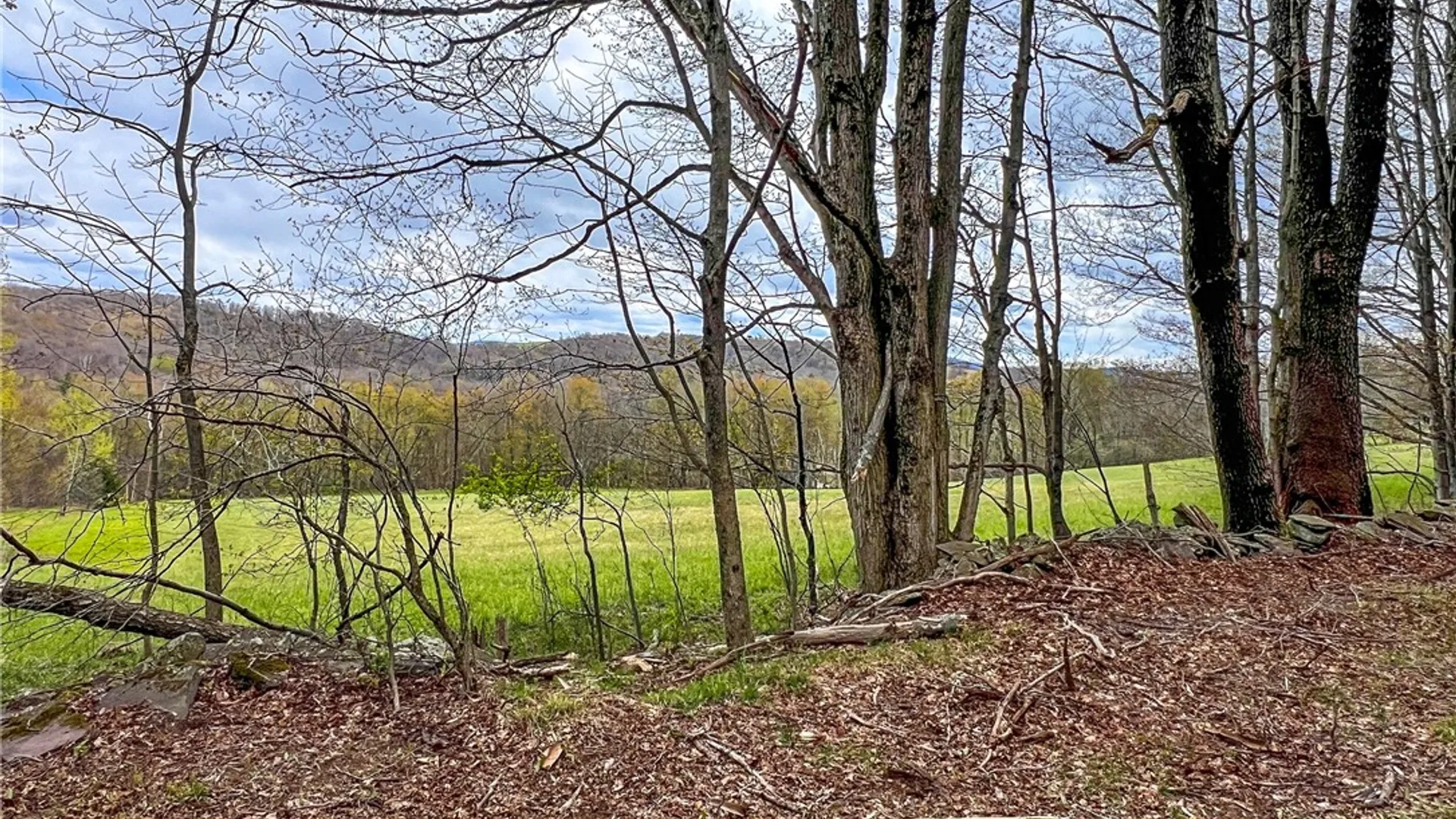Property at Lot 3 Brownell Road, Kortright, NY 13739 16