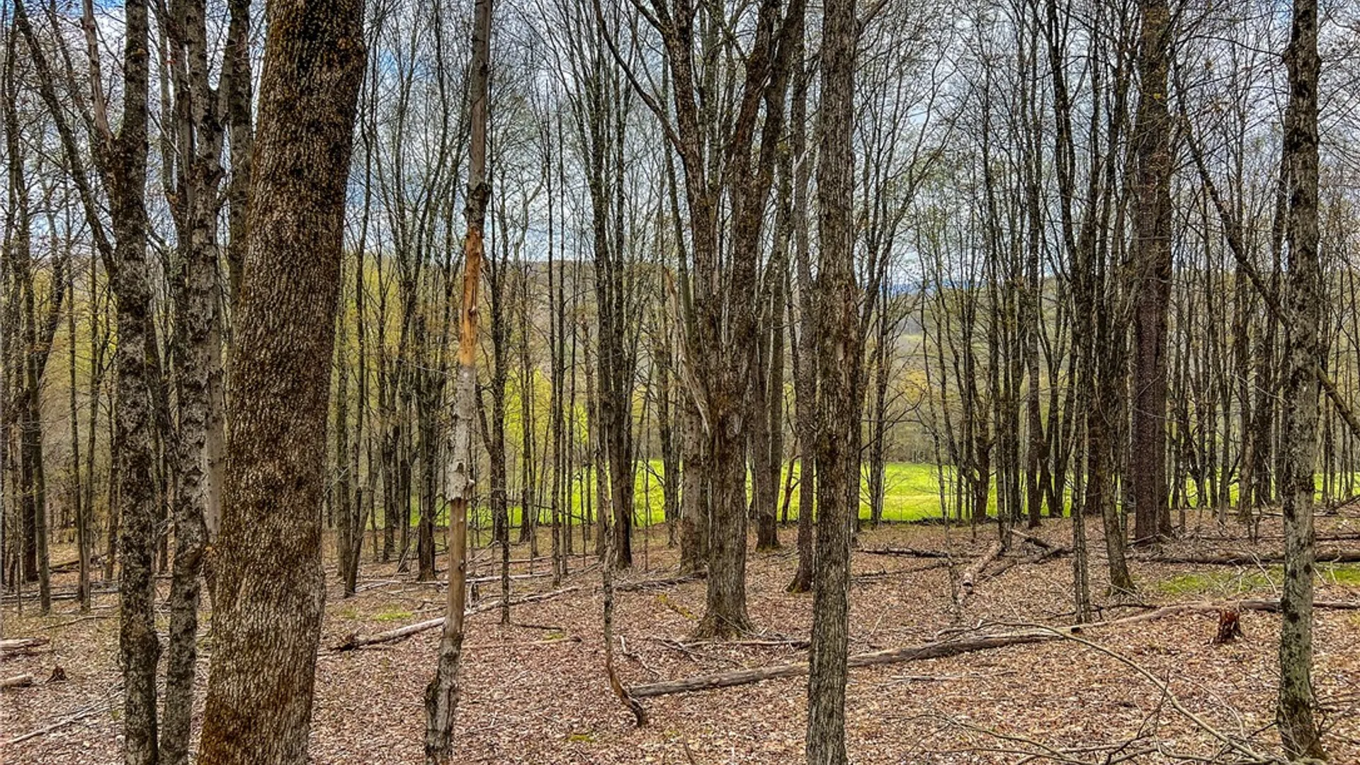 Property at Lot 3 Brownell Road, Kortright, NY 13739 17